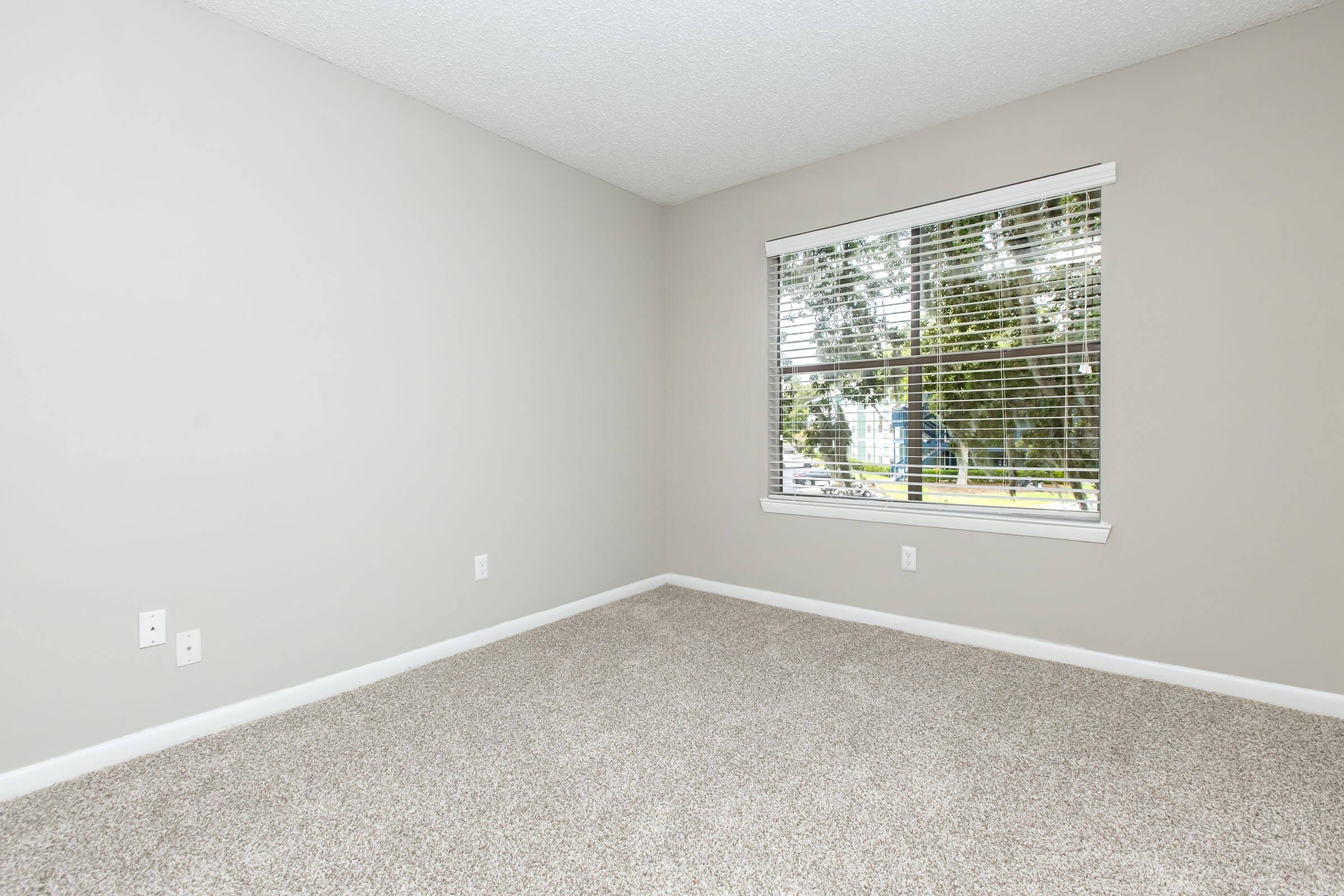 Empty room with light gray walls and a window that features white blinds. The floor is covered in beige carpet, and there are two electrical outlets visible on one wall. Outside the window, there is a view of trees. The room is well-lit with natural light coming in.