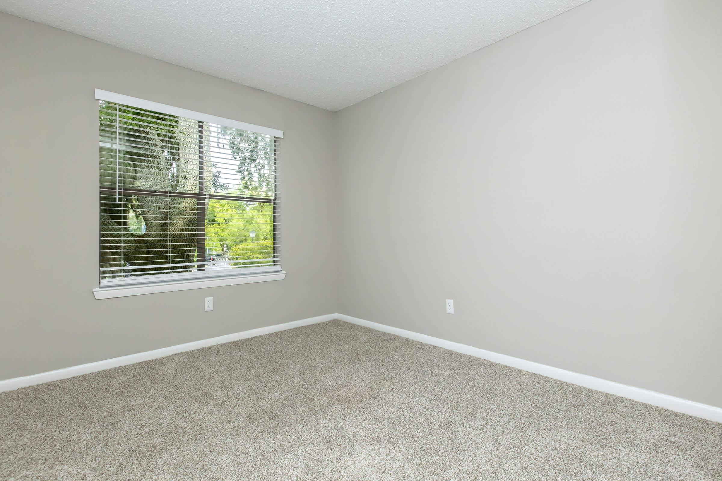A spacious empty room with light gray walls and a textured ceiling. It features a large window with blinds, allowing natural light to filter in, and soft, beige carpet covering the floor. The room has minimal decor, creating a clean and neutral atmosphere, ideal for customization.