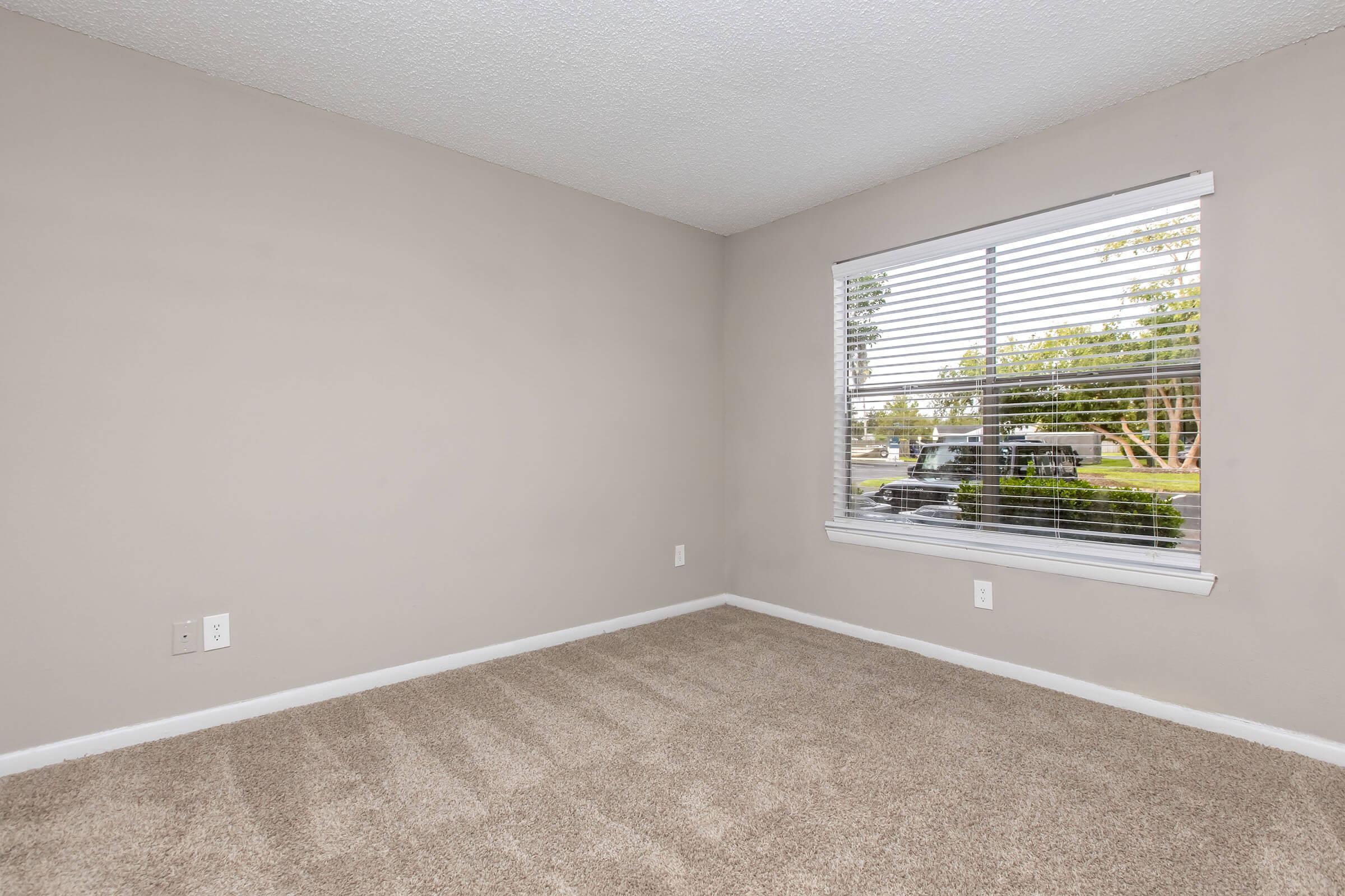 Empty room with beige walls and light brown carpet. A window with blinds allows natural light to enter, offering a view of greenery outside. No furniture or decor is present, creating a clean and spacious appearance.