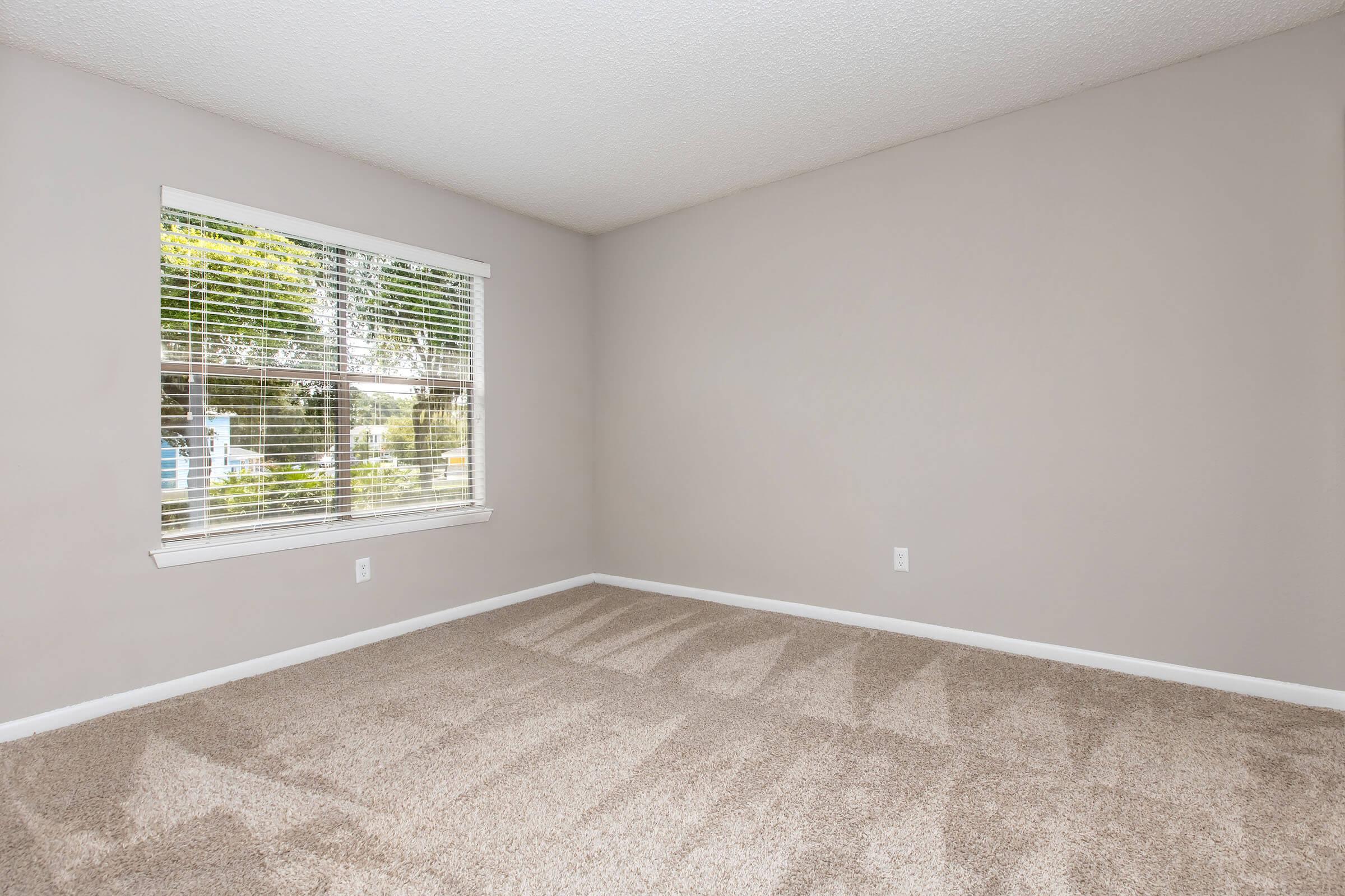 A vacant room with light beige carpet and pale gray walls. A window with white blinds allows natural light, casting shadows on the carpet. The window faces greenery outside, but no furniture or decor is present, emphasizing the spaciousness of the room.