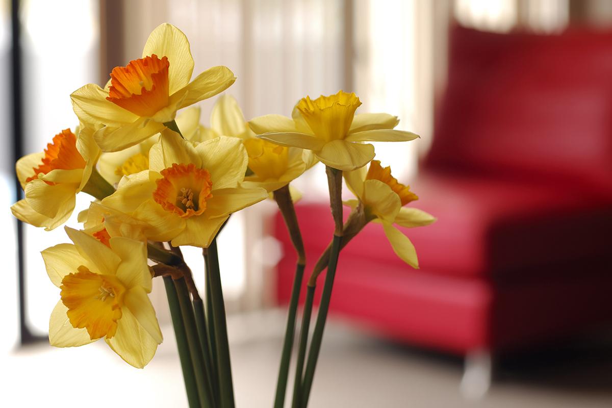 a vase filled with flowers sitting on a yellow flower