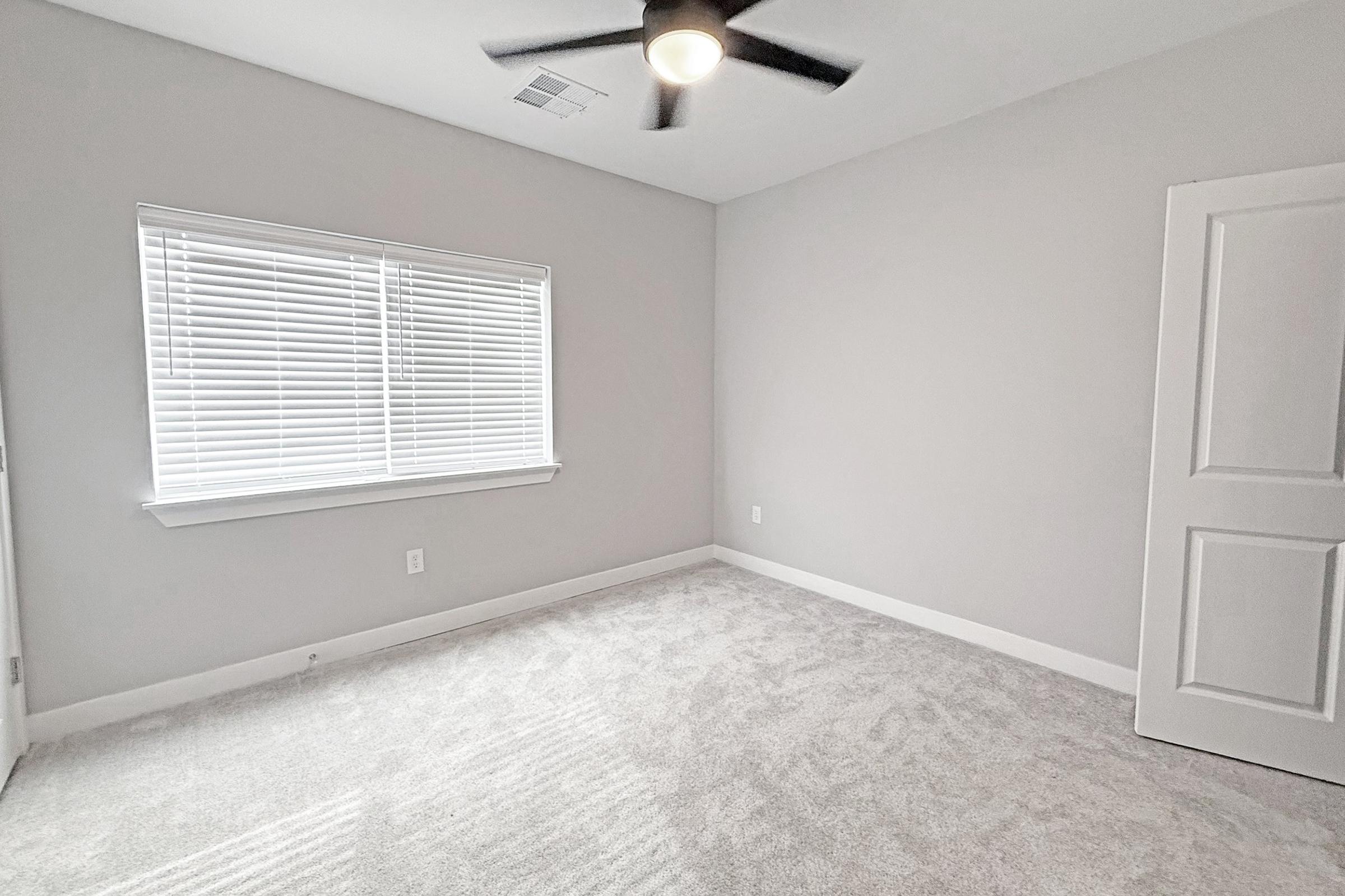 A clean and minimalistic bedroom featuring light gray walls, a ceiling fan, and large windows with white blinds. The floor is covered with plush light-colored carpet, and there's a white door leading to another room. Natural light fills the space, creating a bright and welcoming atmosphere.