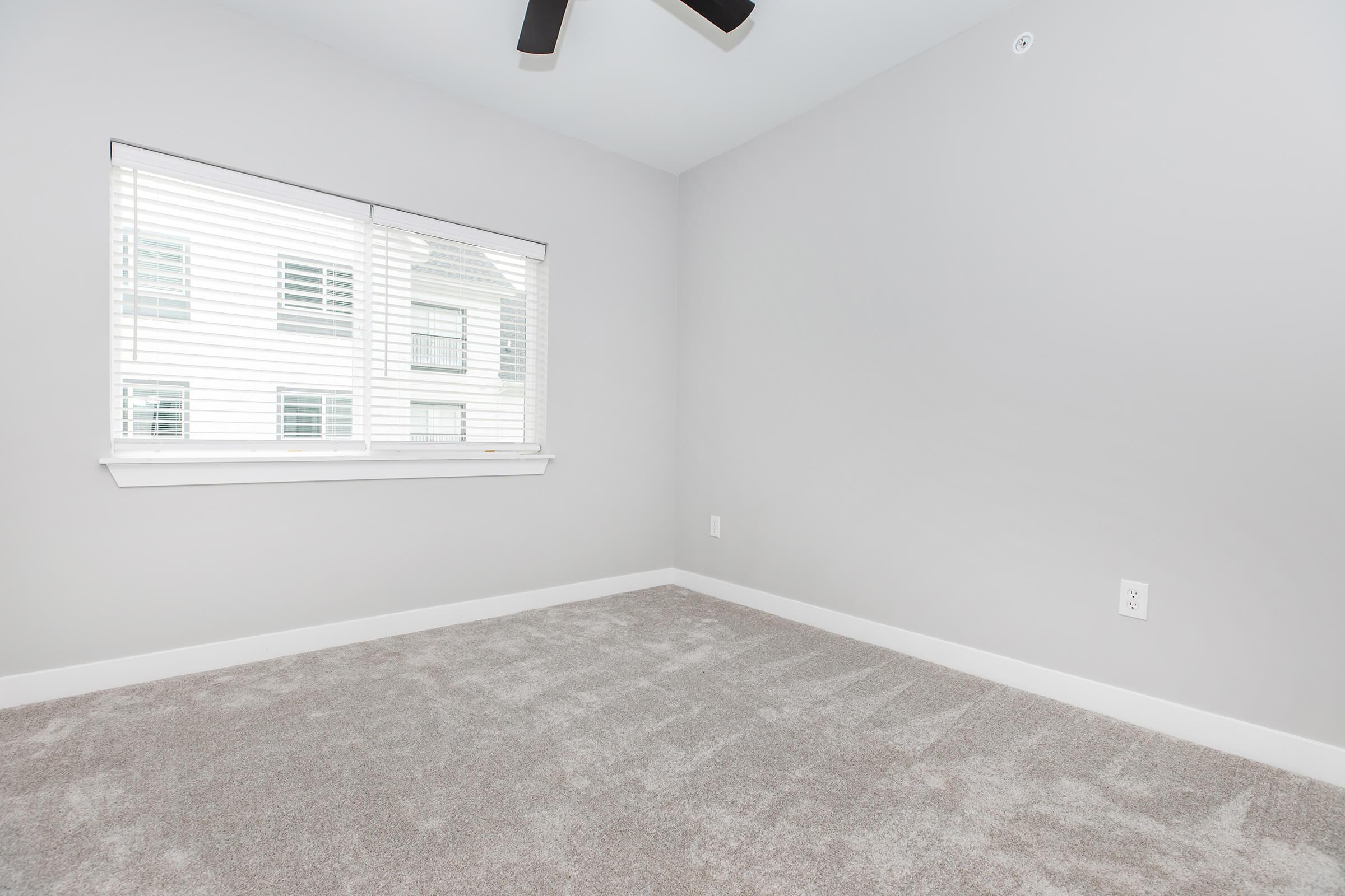 A minimalist room with gray walls and carpet, featuring a large window with white blinds that lets in natural light. The space is empty, creating a clean and airy atmosphere, ideal for customization or use as an office or bedroom.