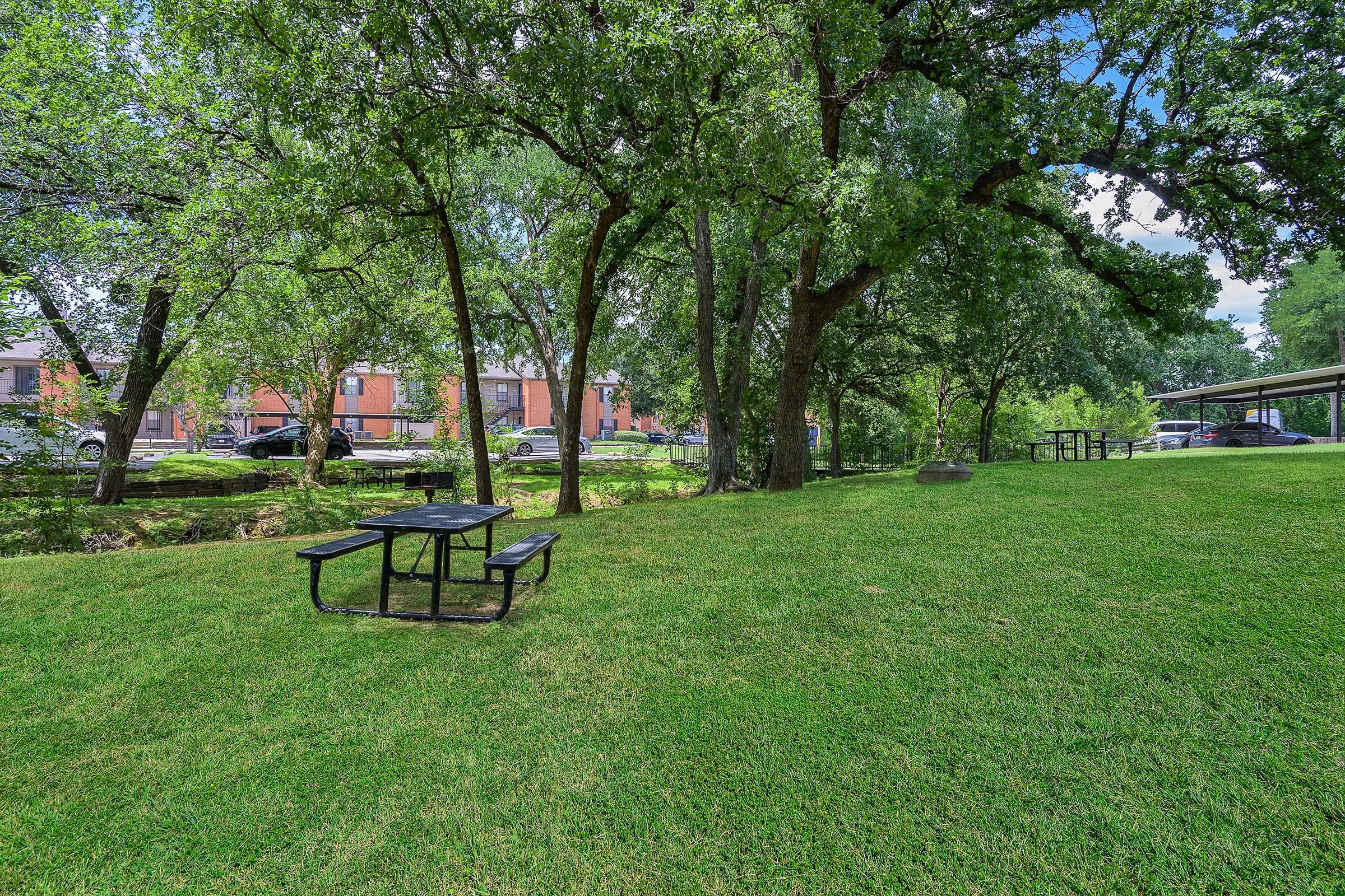 A serene park setting featuring a grassy area with several trees, a black picnic table in the foreground, and a pathway. In the background, there are buildings partially obscured by foliage and parked cars. The scene is bright and inviting, showcasing natural beauty and recreational space.