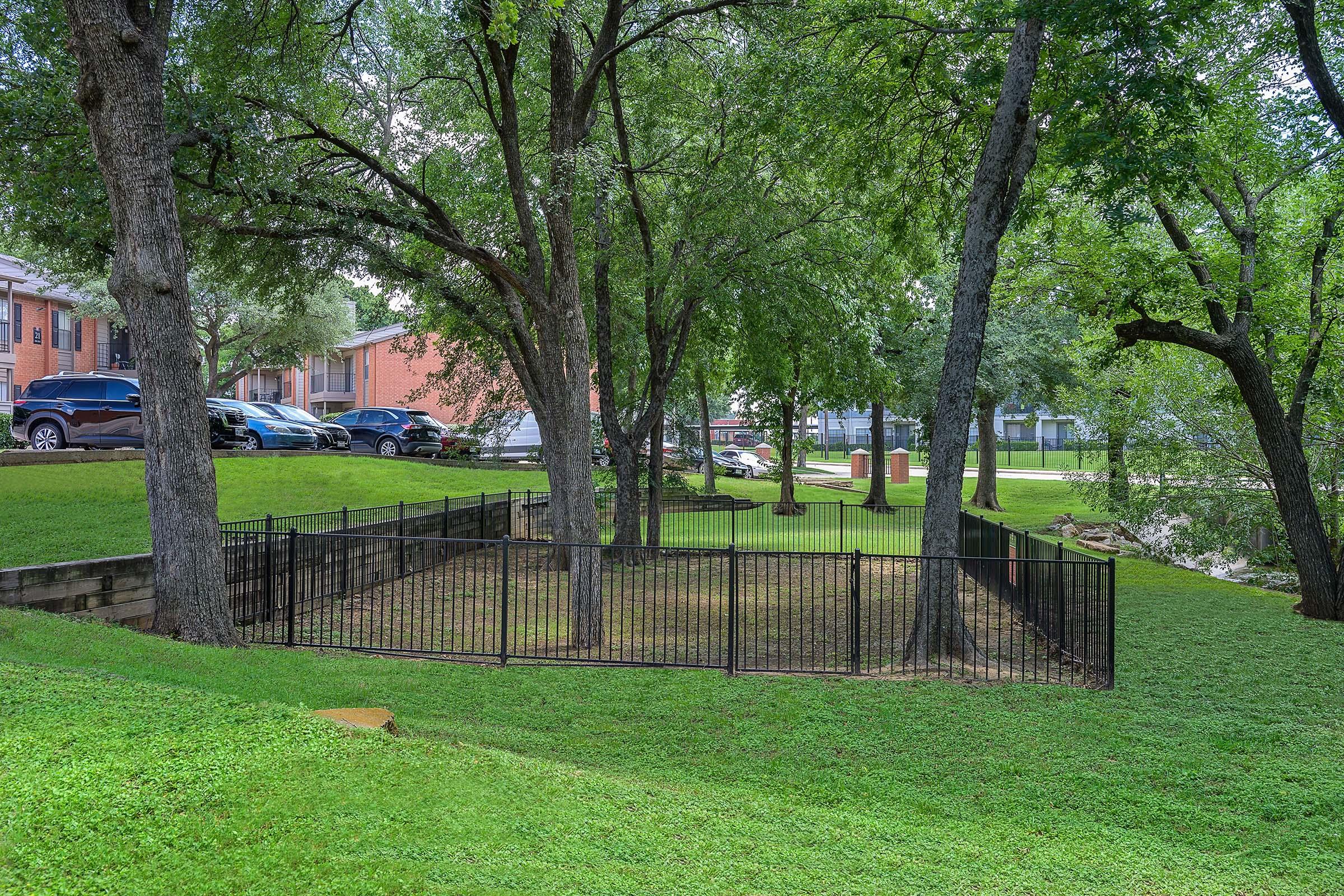 A grassy area with trees surrounded by a black metal fence. In the background, there are several parked cars and residential buildings. The scene is bright and well-maintained, showcasing a serene outdoor environment.