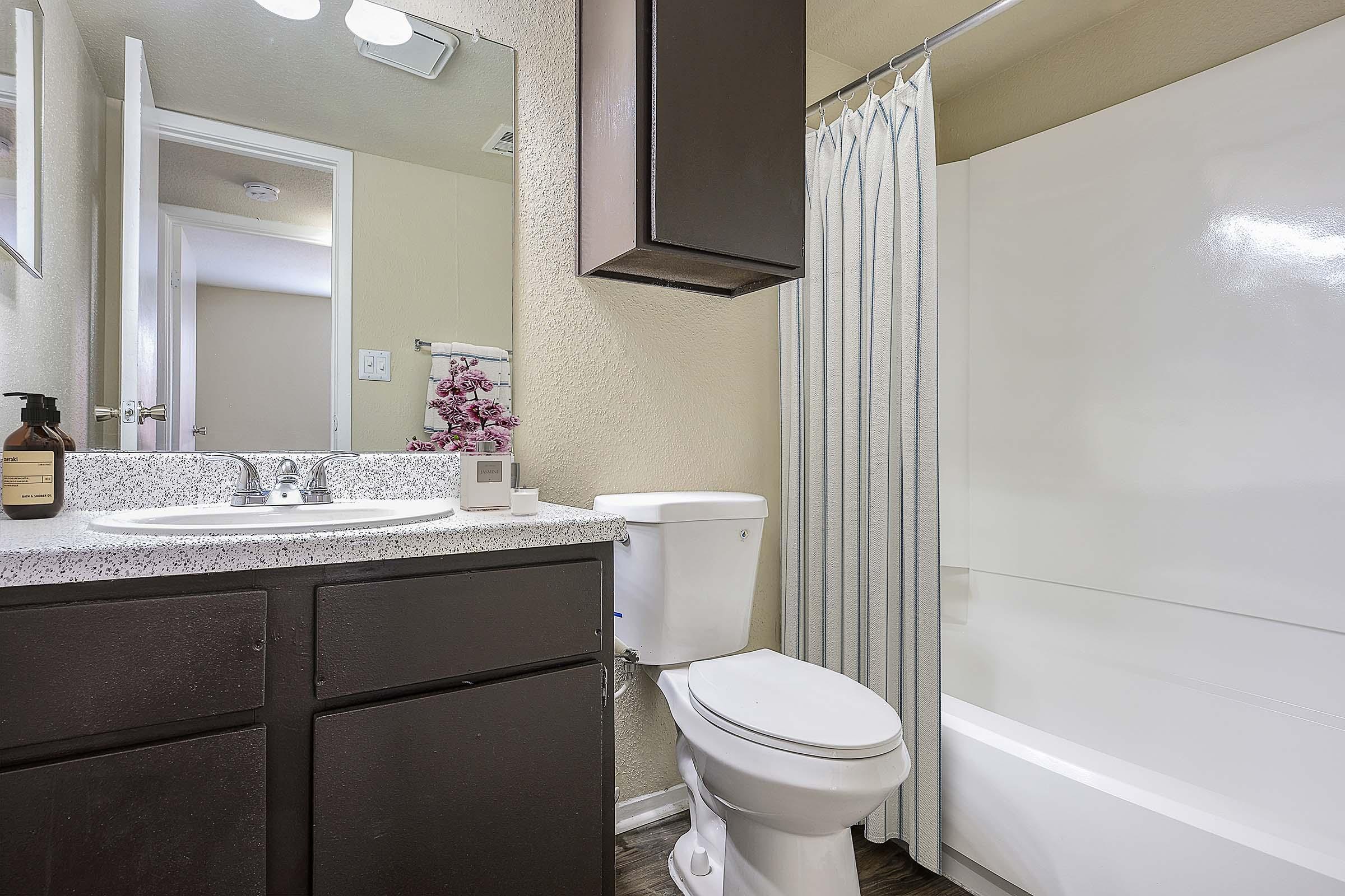 A modern bathroom featuring a white bathtub with a shower curtain, a toilet, and a vanity with a sink. The vanity has a granite countertop and a mirror above it. Walls are painted in a light neutral color, and there are decorative elements such as a bottle on the counter. The space is clean and well-lit.