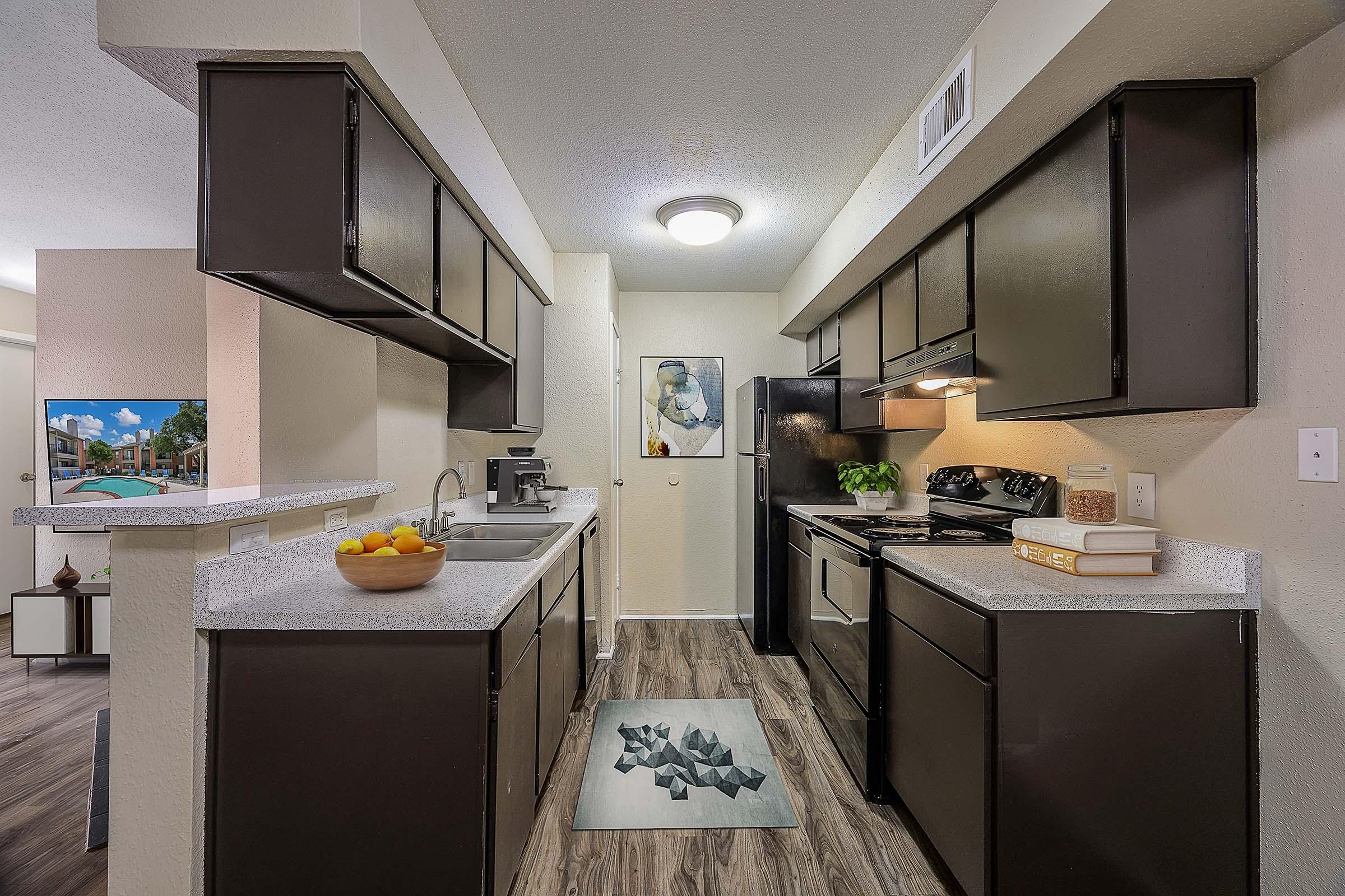 Modern kitchen featuring dark wood cabinetry, granite countertops, and stainless steel appliances. A bowl of fruit is placed on the counter, and a decorative area rug is on the floor. The wall includes a framed artwork, and a bright overhead light illuminates the space.