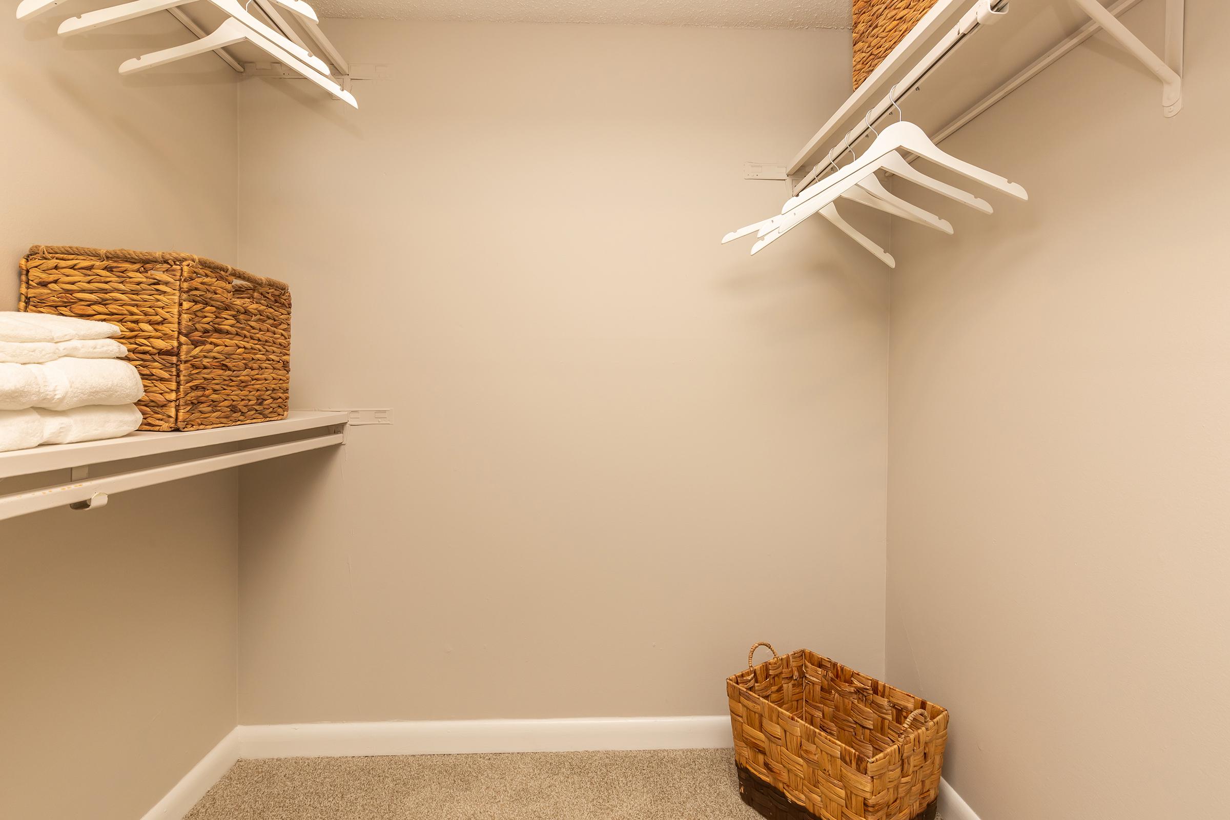 Carrington Walk-In Closet at Madison Landing at Research Park Apartments in Madison, AL