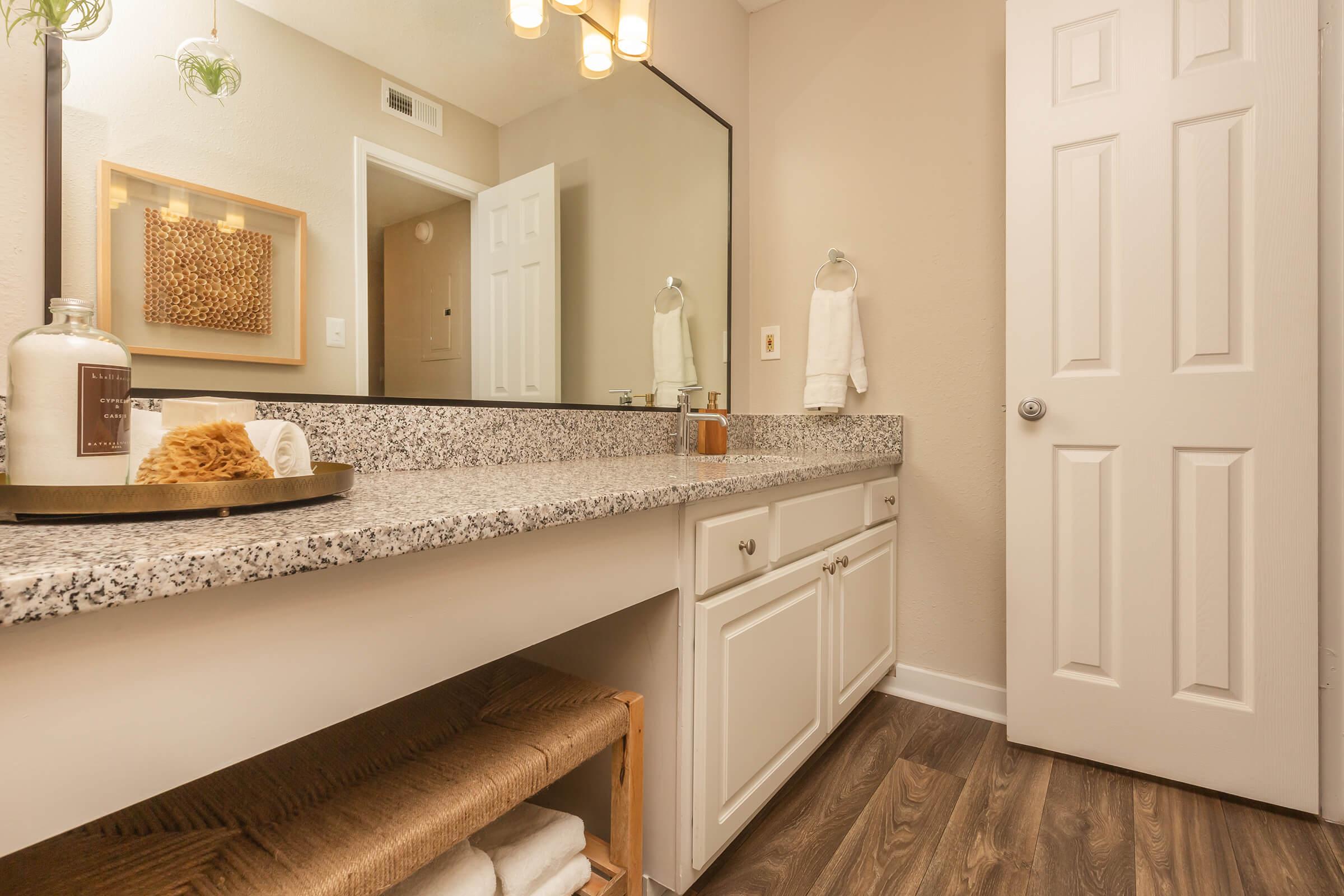 Ansley Sleek Bathroom at Madison Landing at Research Park Apartments in Madison, Alabama