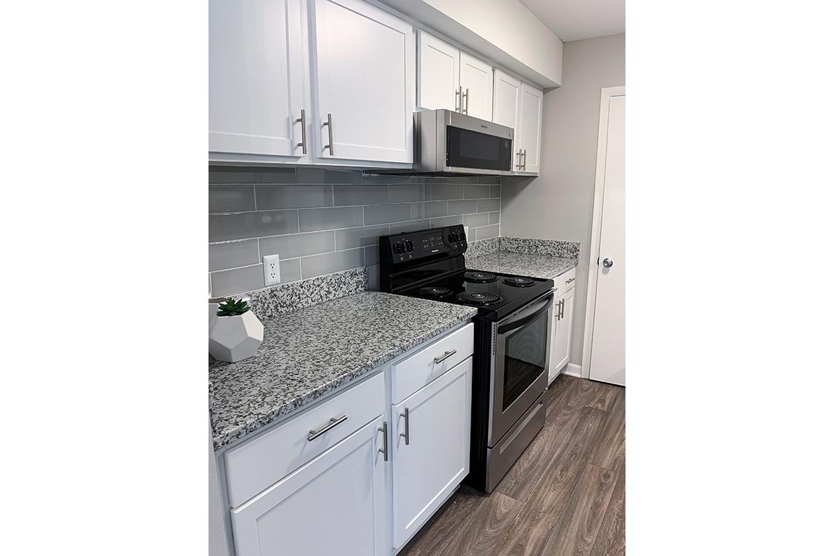 Parker Kitchen at Madison Landing at Research Park Apartments