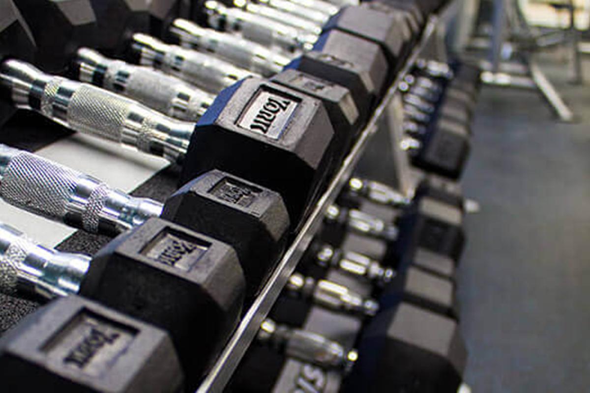 weights 4.jpg