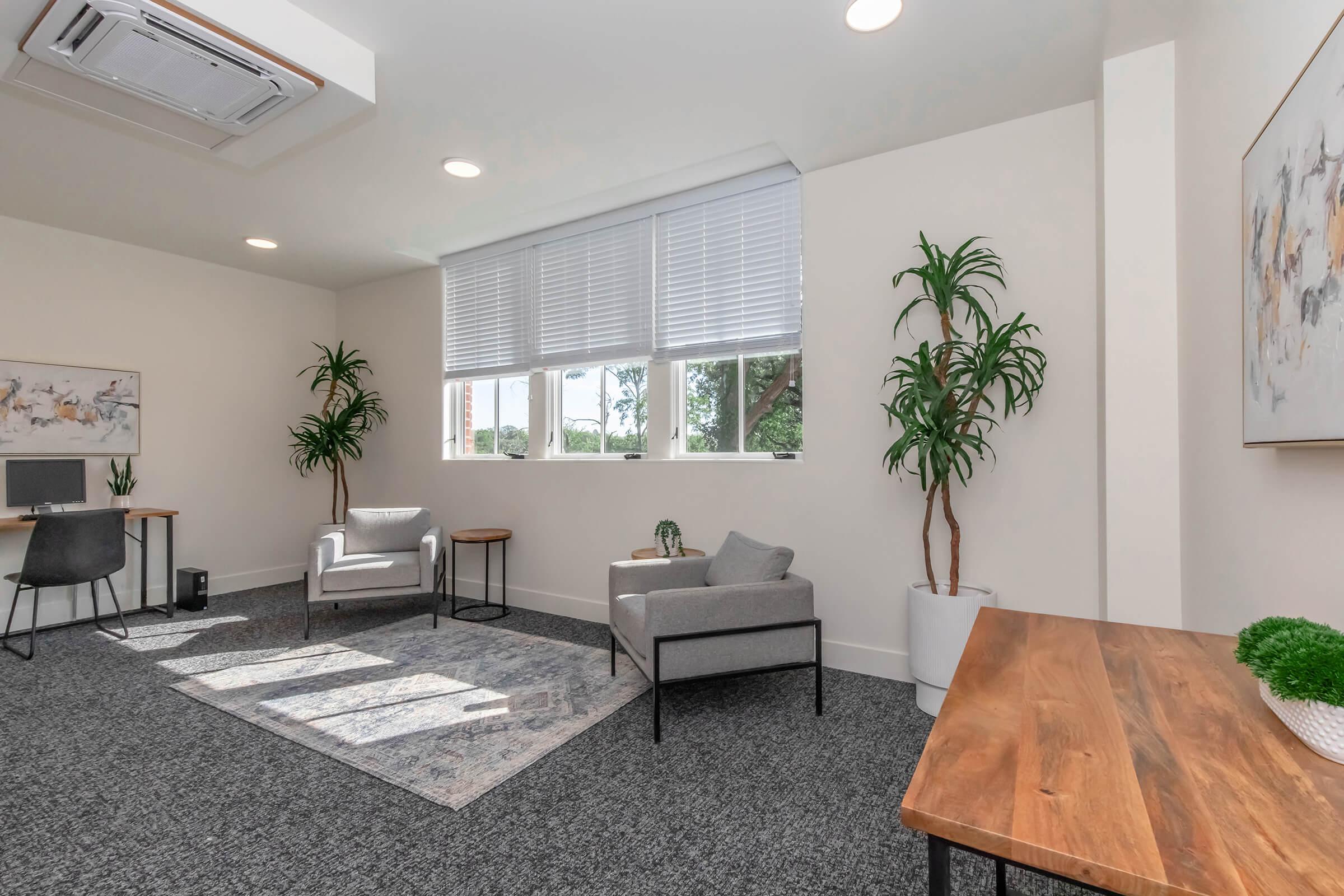 A bright and modern office space featuring two potted plants, a gray armchair, a small table, a desk with a chair, a decorative rug, and large windows with blinds, all set against neutral-colored walls.
