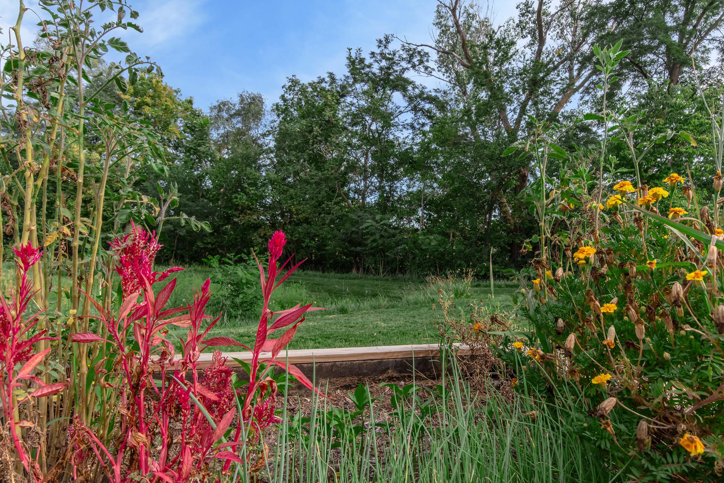 A vibrant garden scene featuring bright red and yellow flowers in the foreground, with lush green grass and trees in the background. The sky is clear and blue, creating a serene natural setting.