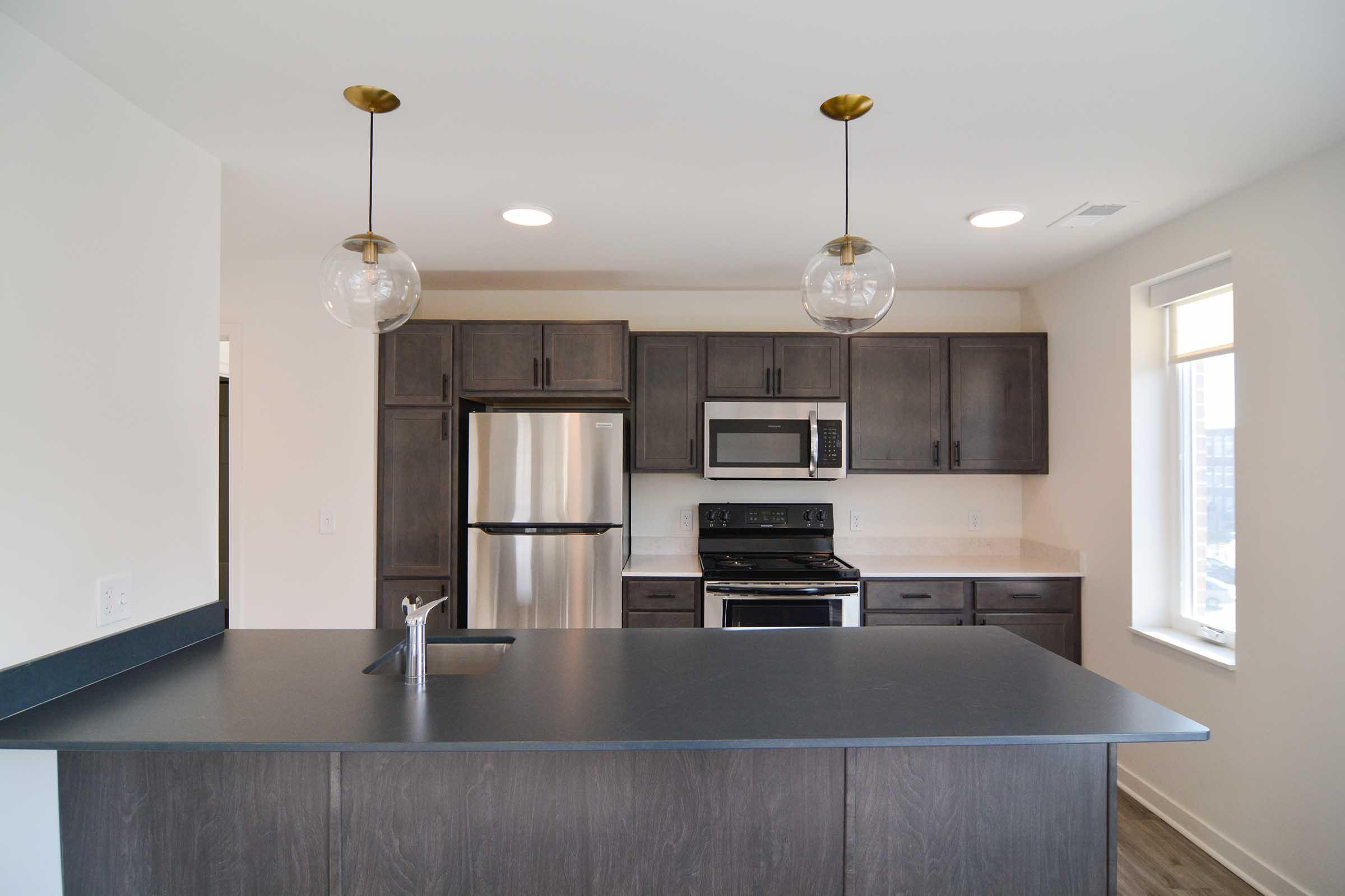 Modern kitchen featuring dark wood cabinets, a stainless steel refrigerator, and an oven. The countertop is black with a sink, and there are two pendant lights hanging above. Natural light comes in through a window, highlighting the open layout and contemporary design.