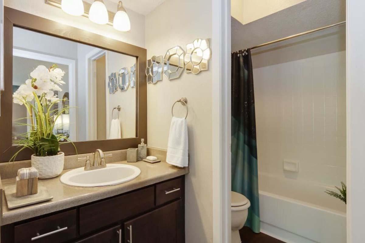 a double sink and large mirror