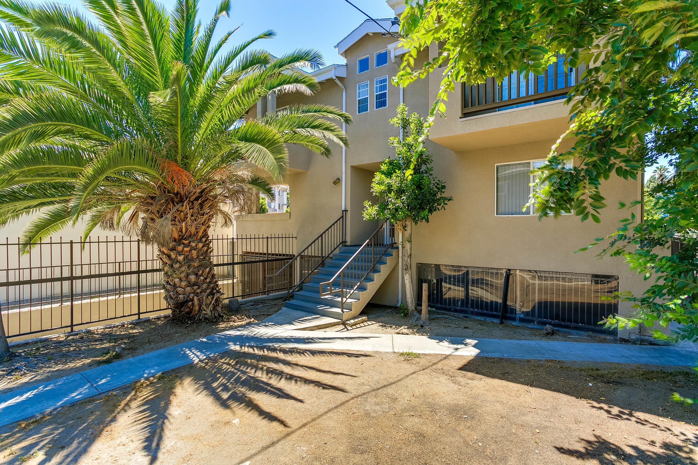 a pool next to a palm tree