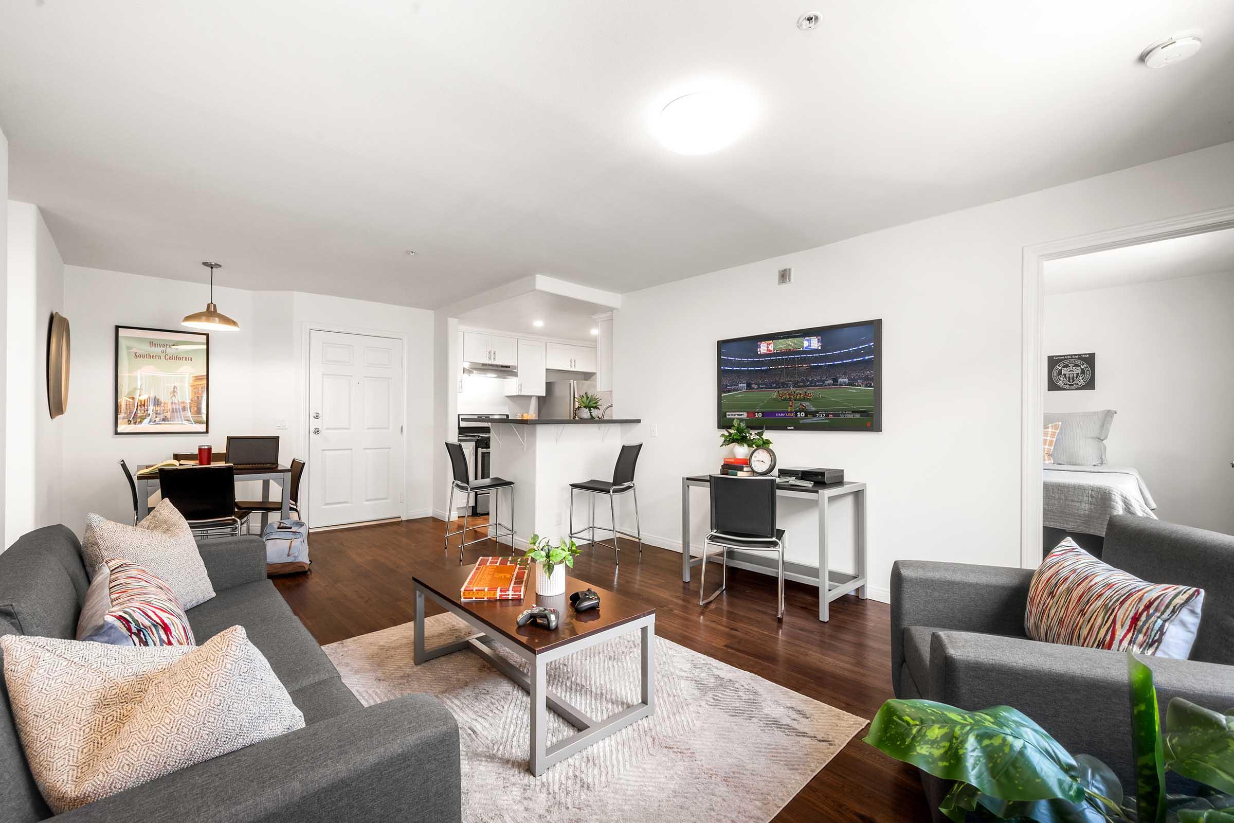 Modern living room and dining area featuring gray sofas, a coffee table, and a wall-mounted TV. A small kitchen is visible in the background, with white cabinetry and a bar counter. The space is illuminated by natural light, with decorative plants and artwork enhancing the cozy atmosphere.