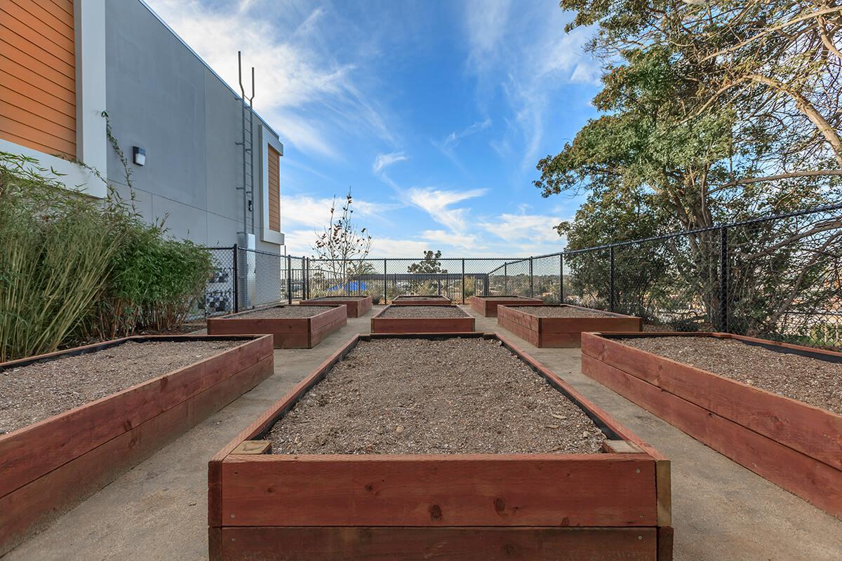 COMMUNITY GARDEN