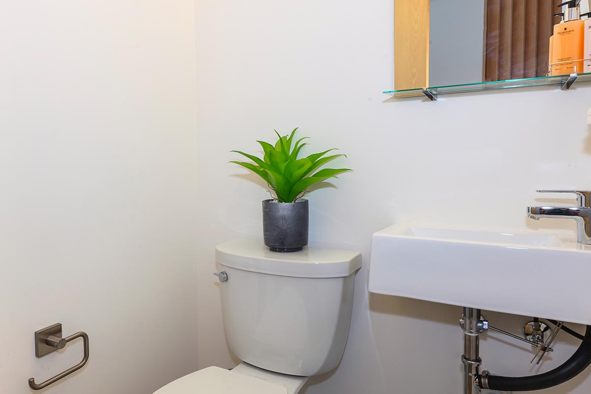 a white sink sitting under a mirror