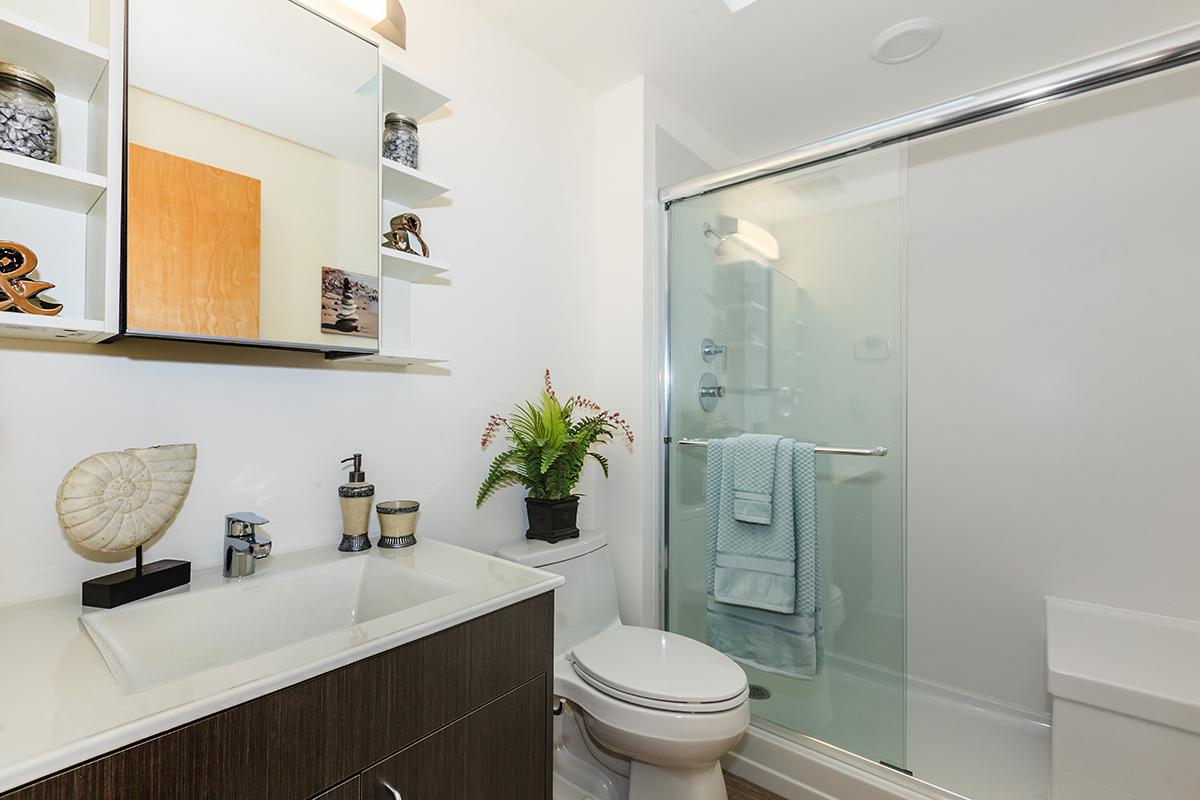 a white sink sitting under a mirror