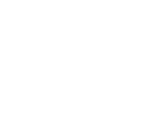 HSI Management, Inc.