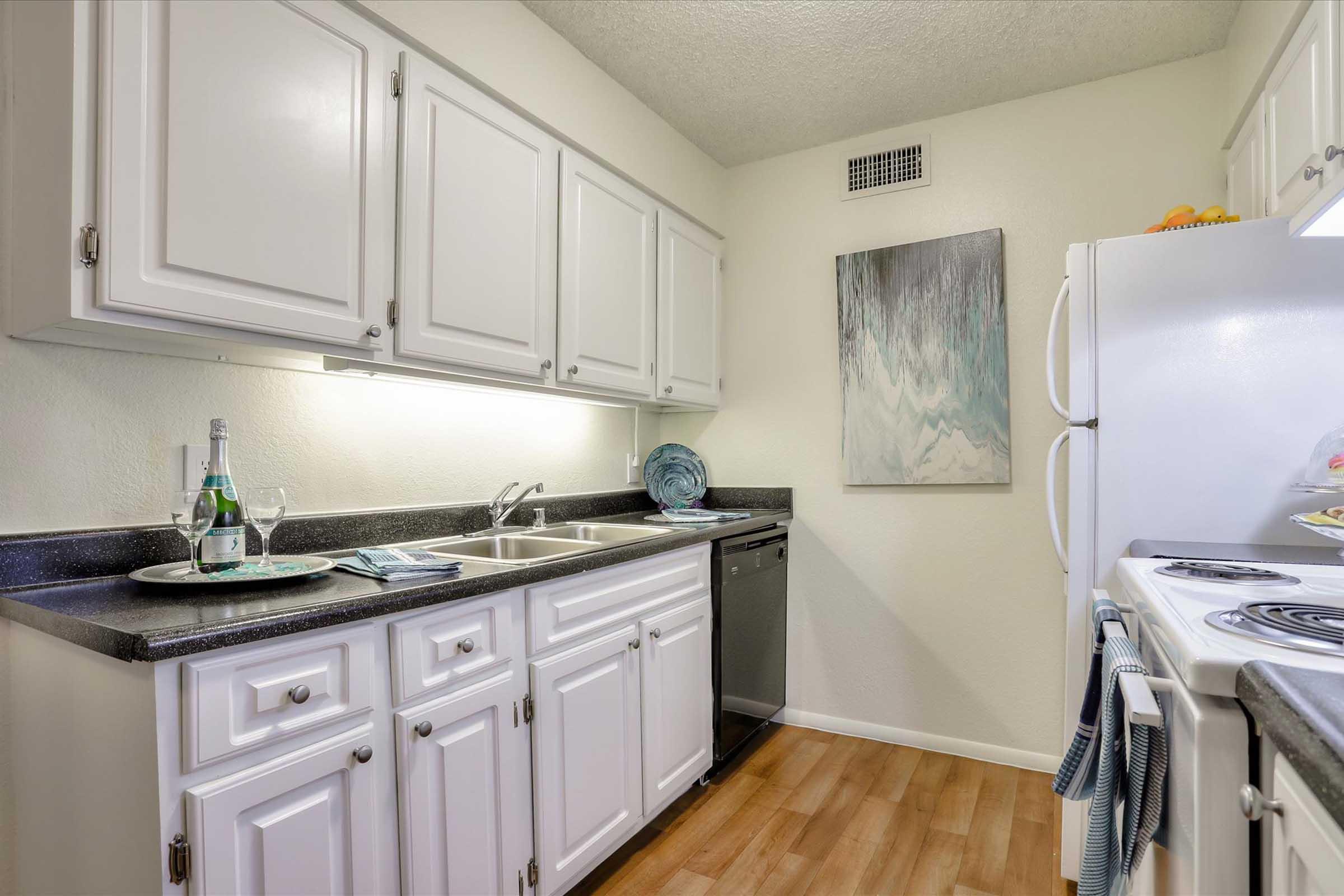 Modern kitchen featuring white cabinetry, a black countertop, a double sink, and stainless steel appliances. There is a refrigerator, an oven, and a dishwasher visible. A piece of abstract wall art hangs above the countertop, and the floor is made of light-colored wood. A bottle of champagne and two glasses are set on the countertop.