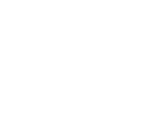 Crescent Falls ebrochure logo
