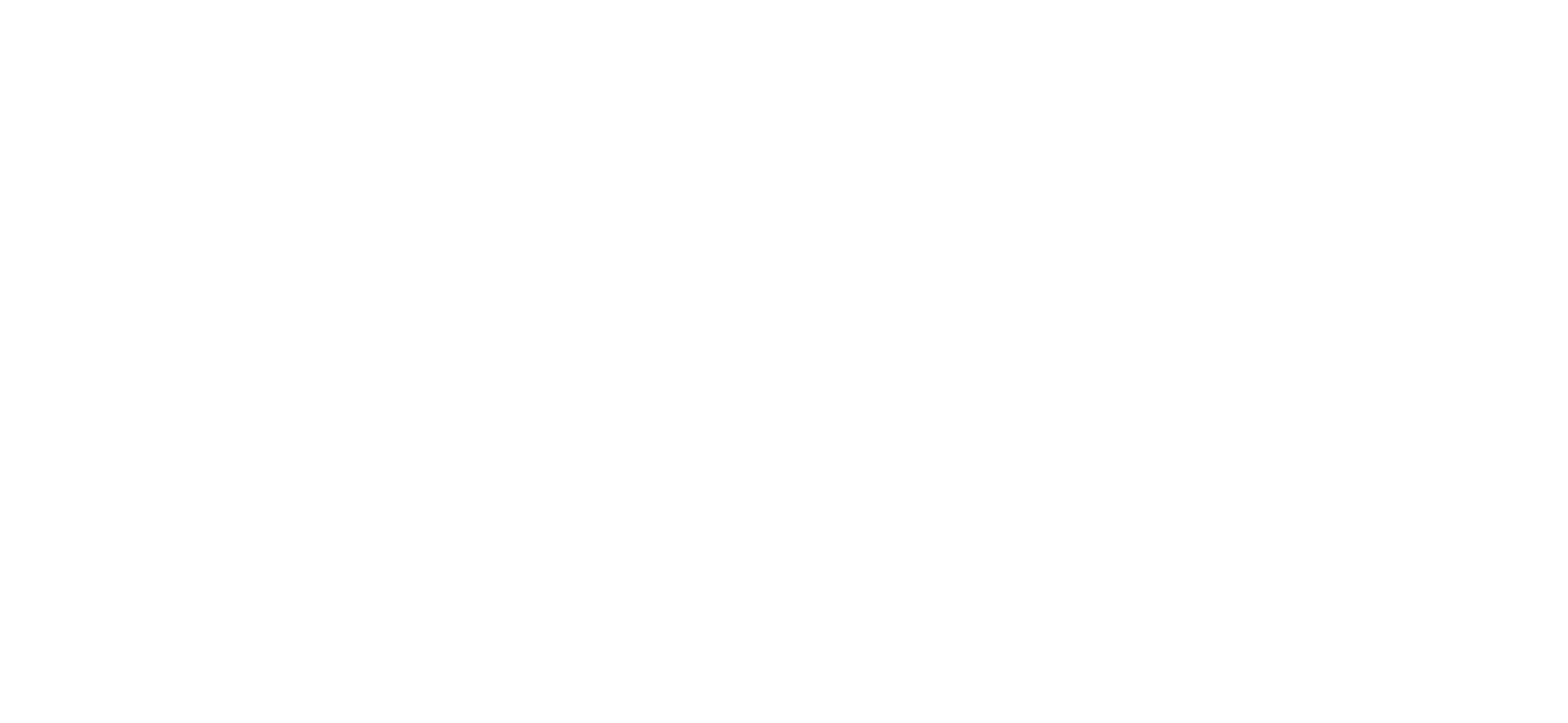 The Levi ebrochure logo