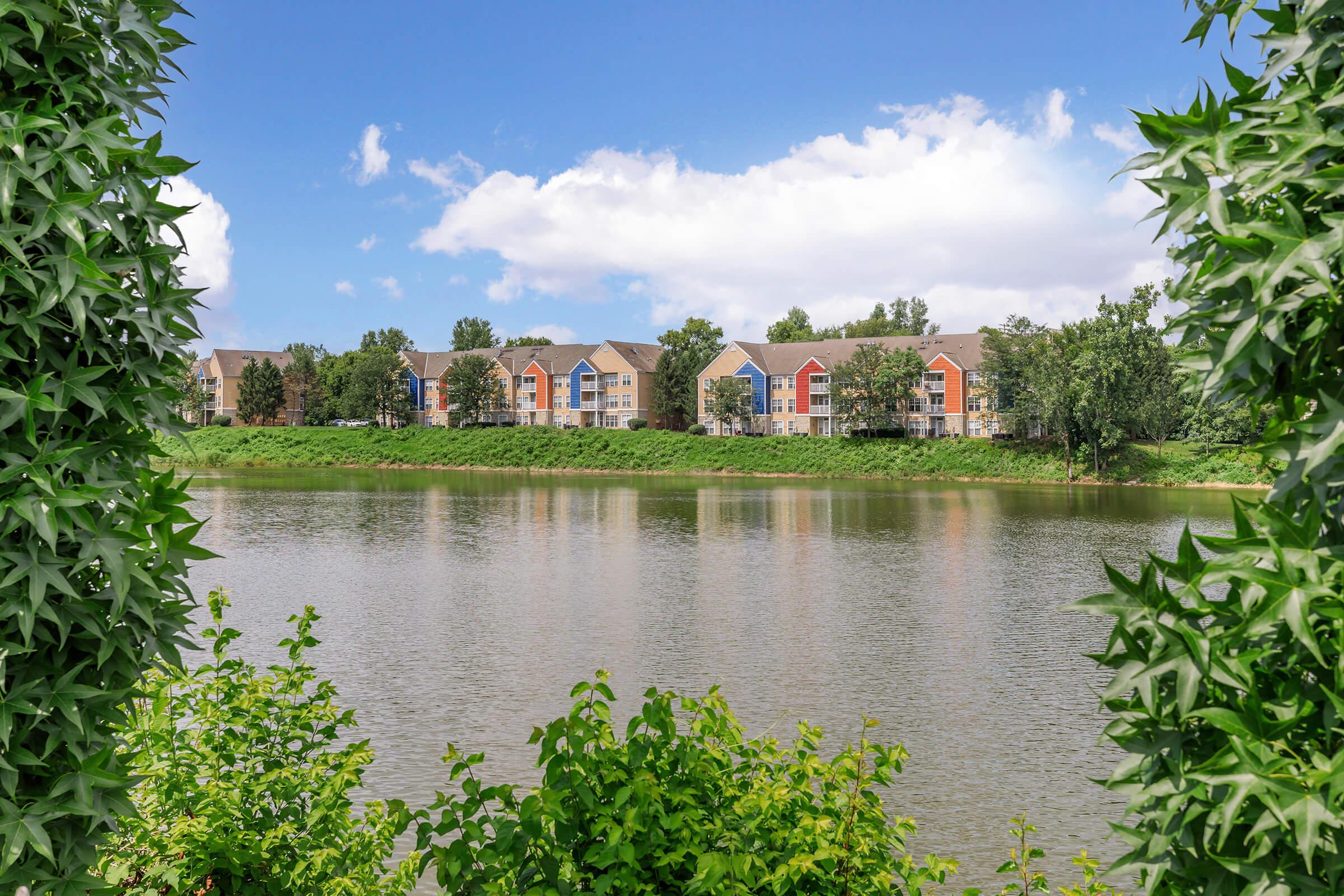 a lake surrounded by green plants