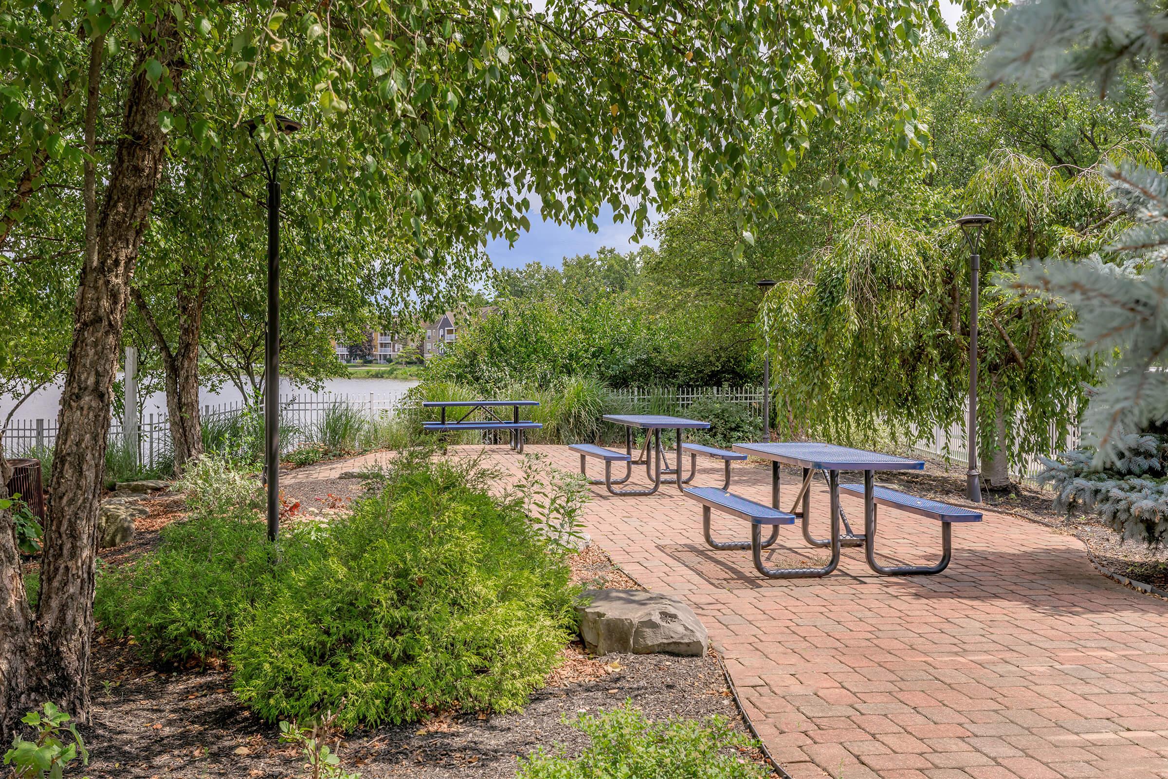 a bench next to a tree