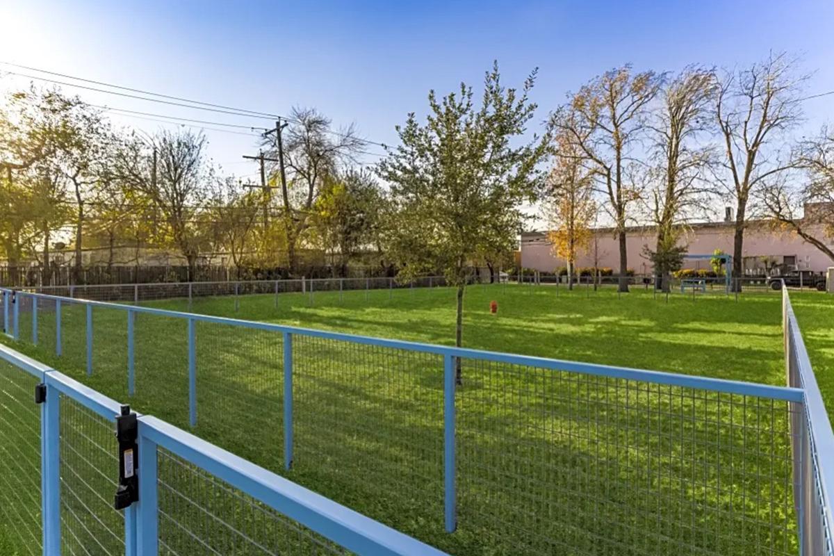 A fenced grassy area with a few trees and scattered benches in the background. The scene is bathed in warm sunlight, creating a bright and inviting atmosphere for outdoor activities. The blue fence outlines the perimeter, indicating it's likely a recreational space or dog park.