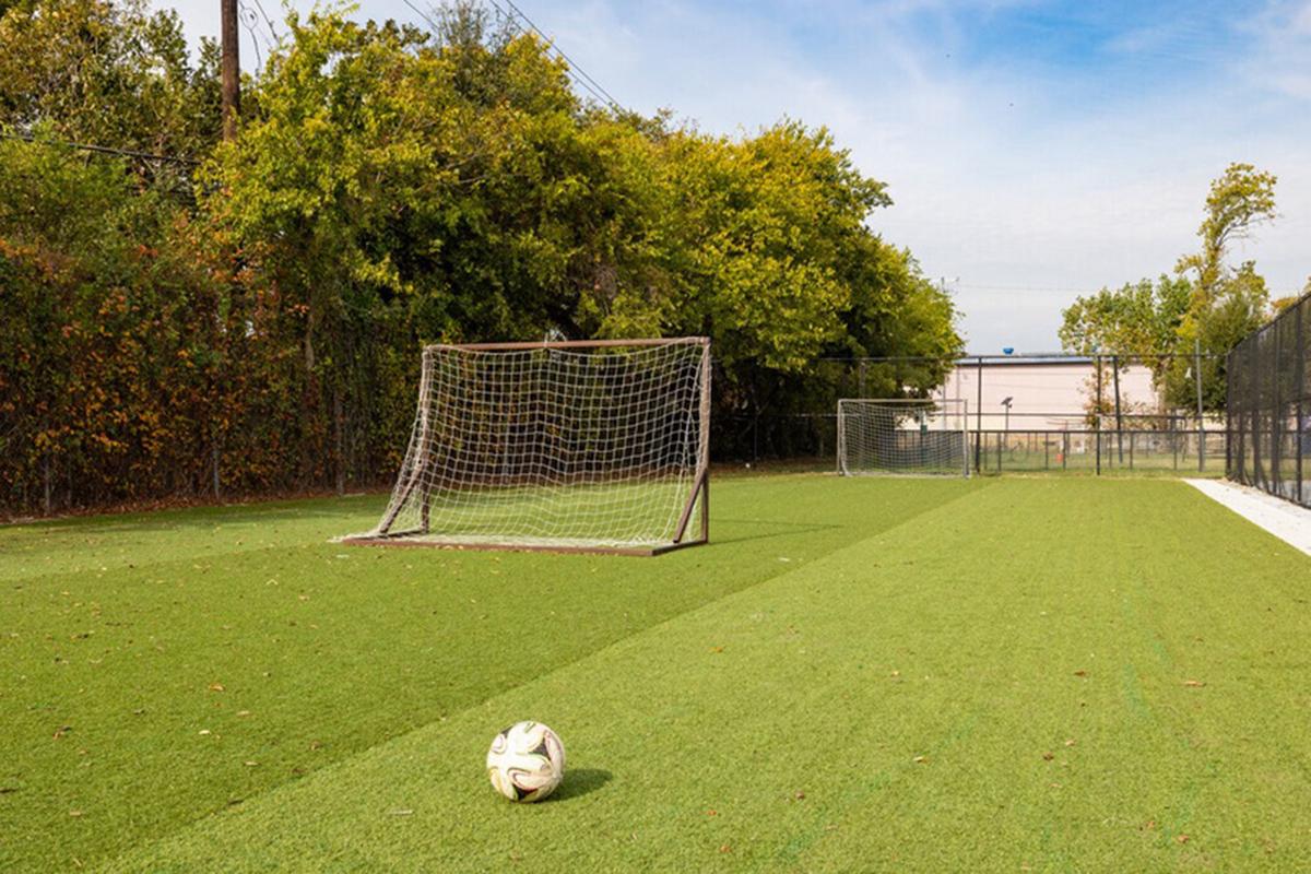 A grassy soccer field features a single soccer ball in the foreground and a goalpost in the background. Lush green trees line the area, under a clear blue sky with a few clouds. The setting is bright, suggesting a sunny day ideal for outdoor sports.