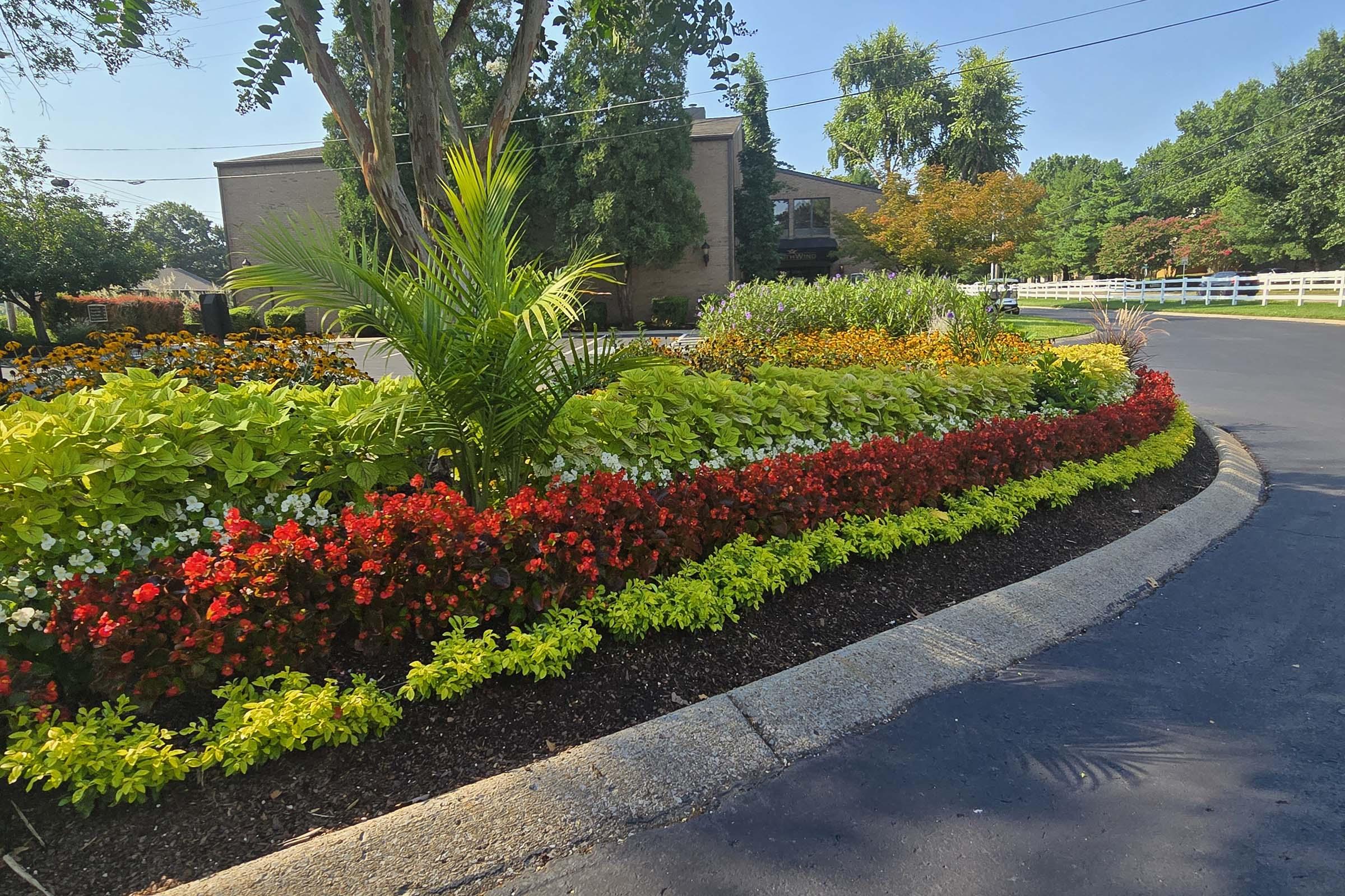A vibrant flowerbed with colorful blooms in shades of red, yellow, and white, bordered by lush green foliage. The garden is situated along a curved pathway, with a sunny landscape featuring trees in the background and a traditional building visible nearby.