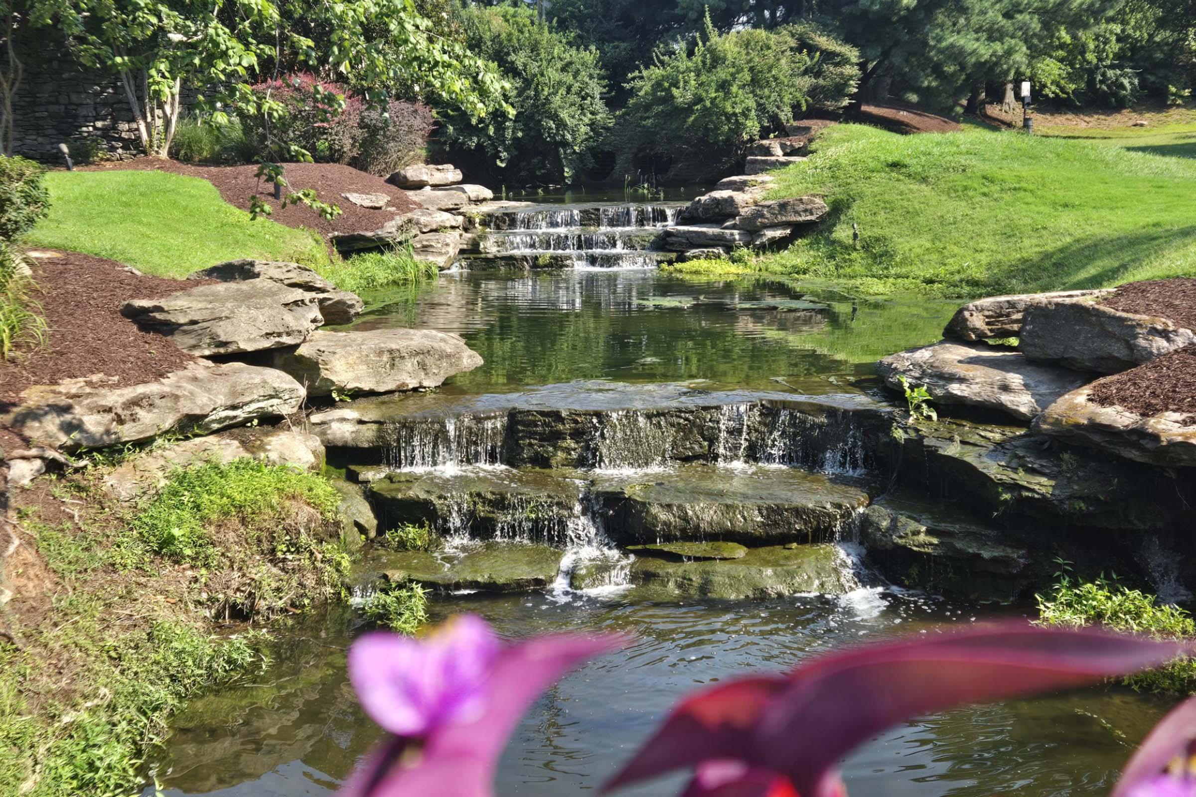 A serene water feature with small waterfalls cascading over rocky ledges into a calm pond. Surrounding the water are lush green grasses and plants, adding to the tranquil ambiance. In the foreground, a hint of vibrant purple flowers adds a pop of color to the natural setting.