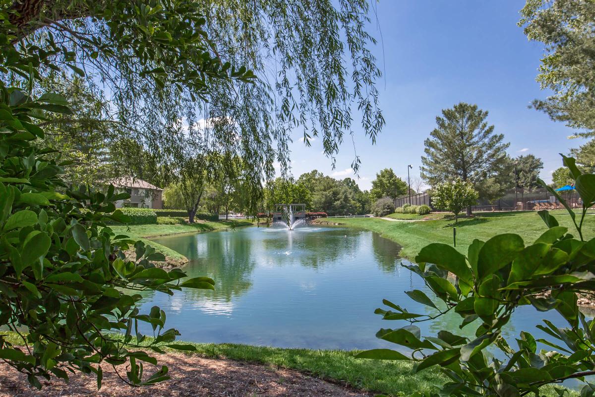 Great Views at South Wind Apartment Homes in Franklin, TN