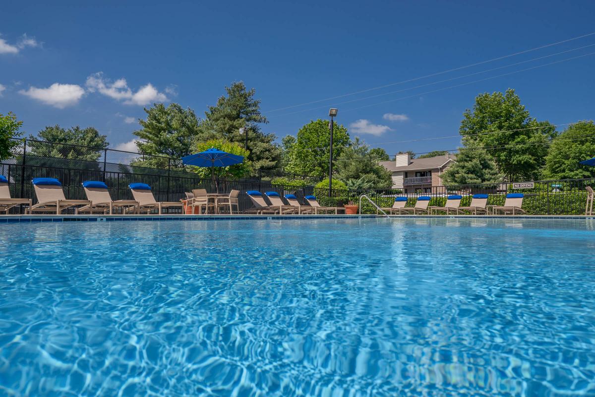 Salt Water Swimming Pool