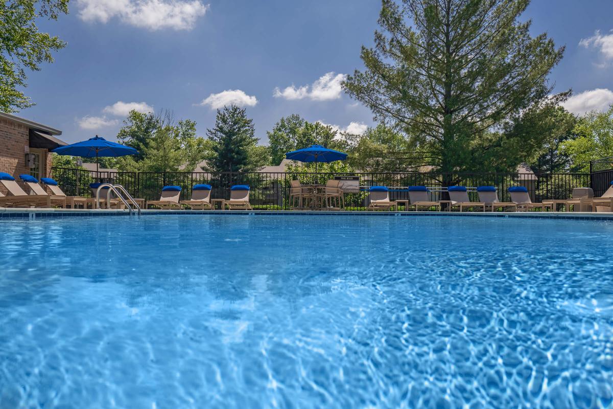Salt Water Swimming Pool in Franklin, TN