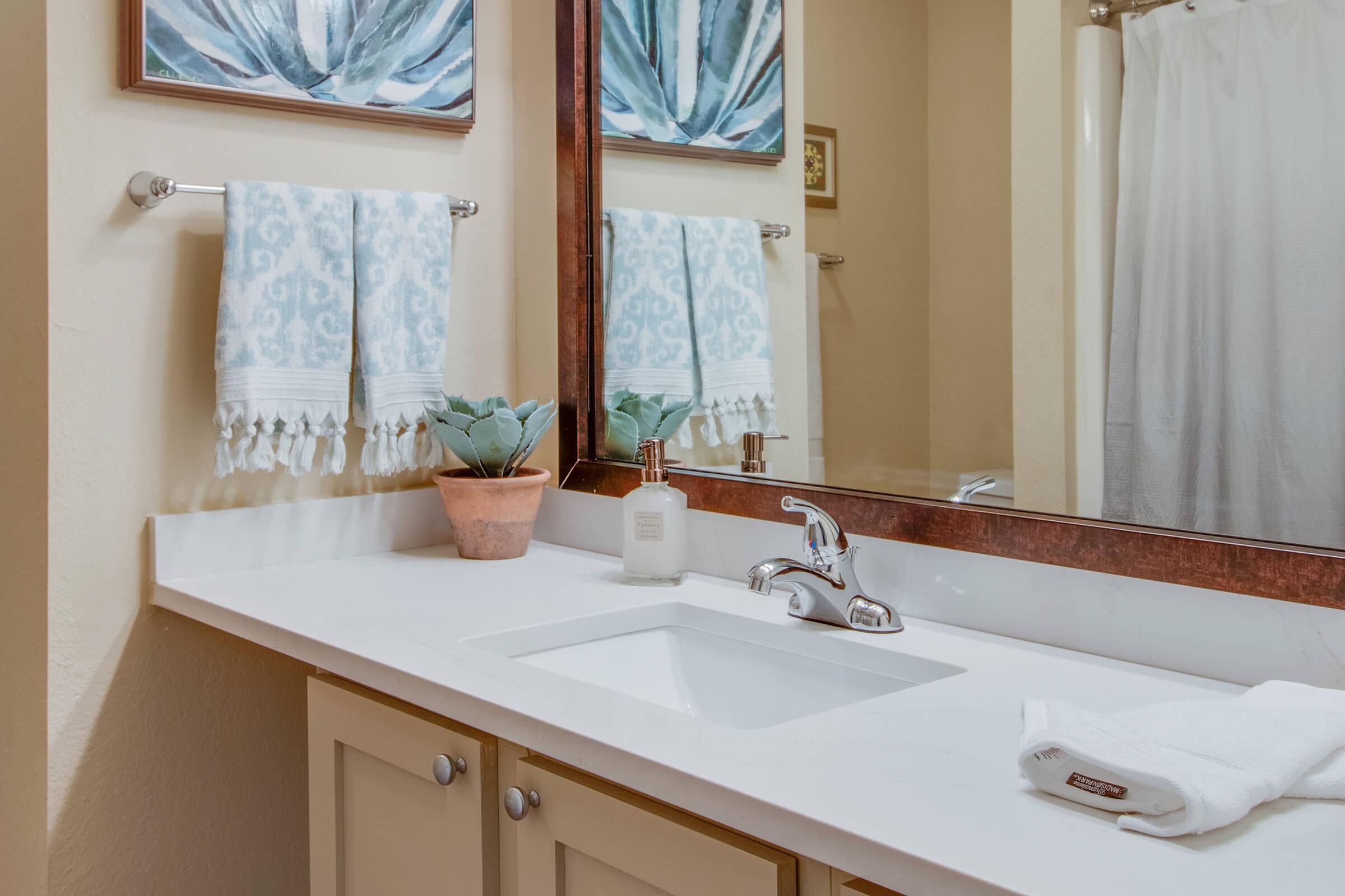 a double sink and large mirror