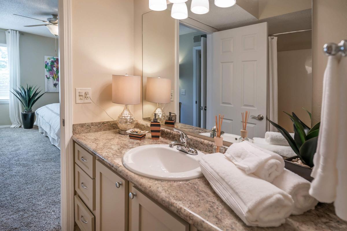 Luxurious Bathrooms at South Wind Apartment Homes