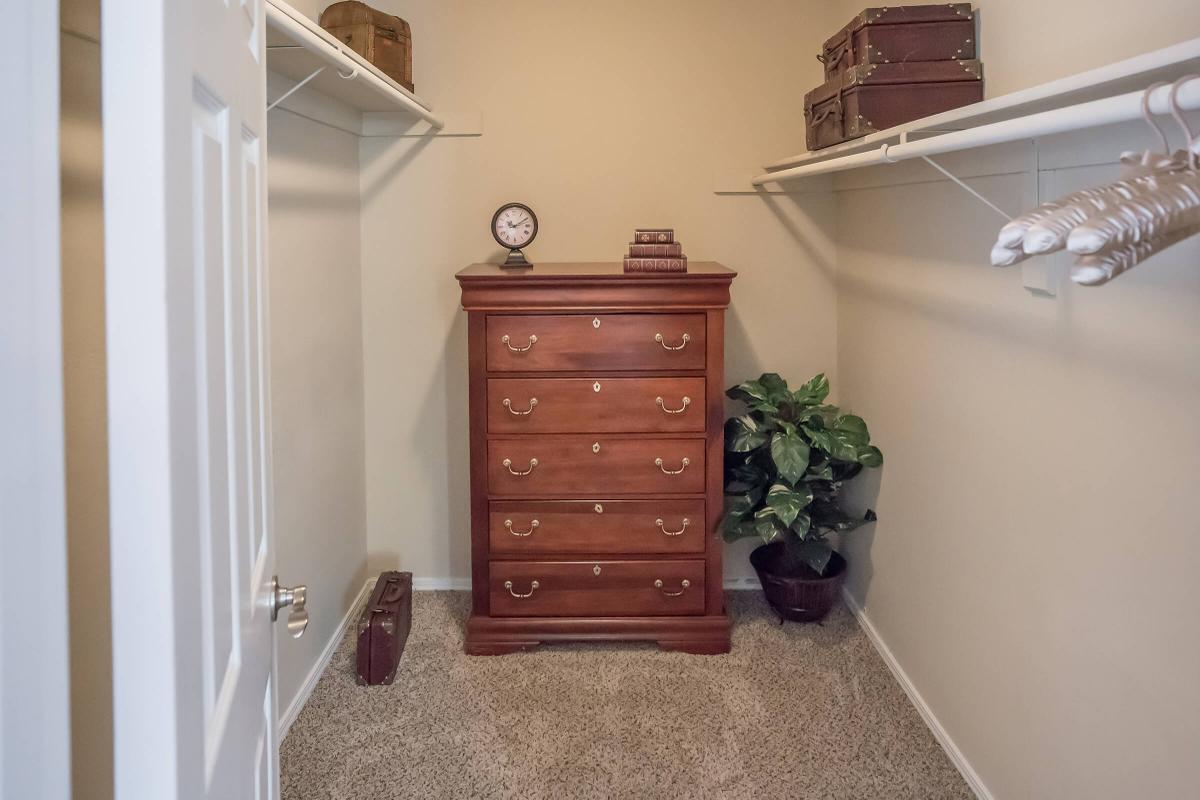 Spacious Walk-in Closets at South Wind Apartment Homes in Franklin