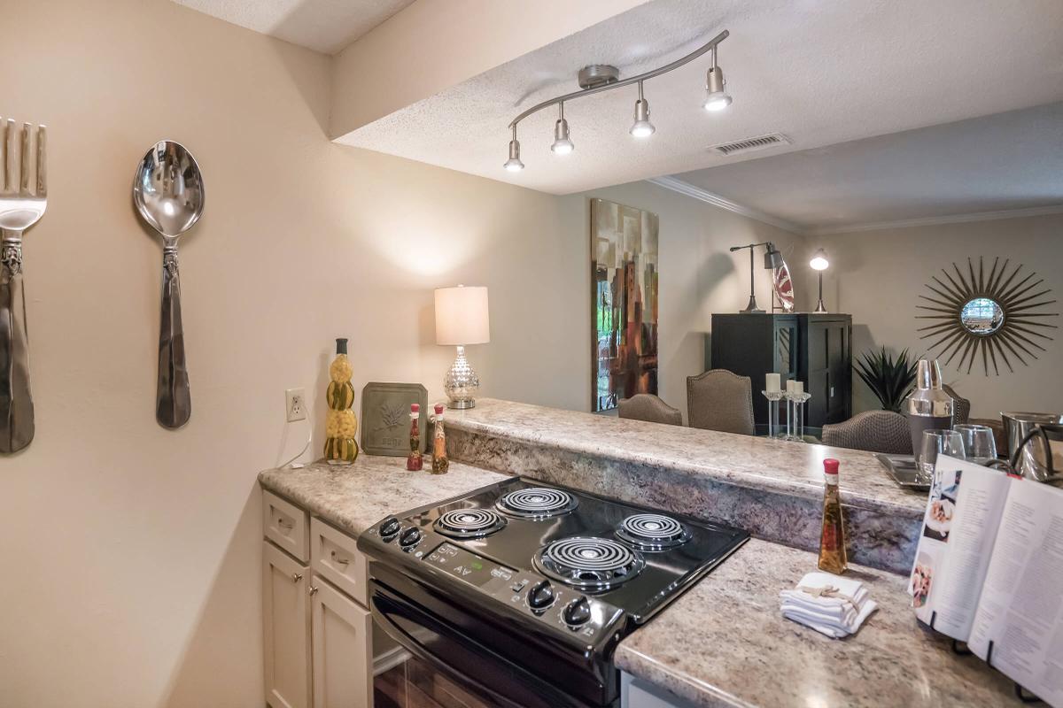 Two Bed Two Bath Kitchen Overlooks the Living Room at South Wind Apartment Homes