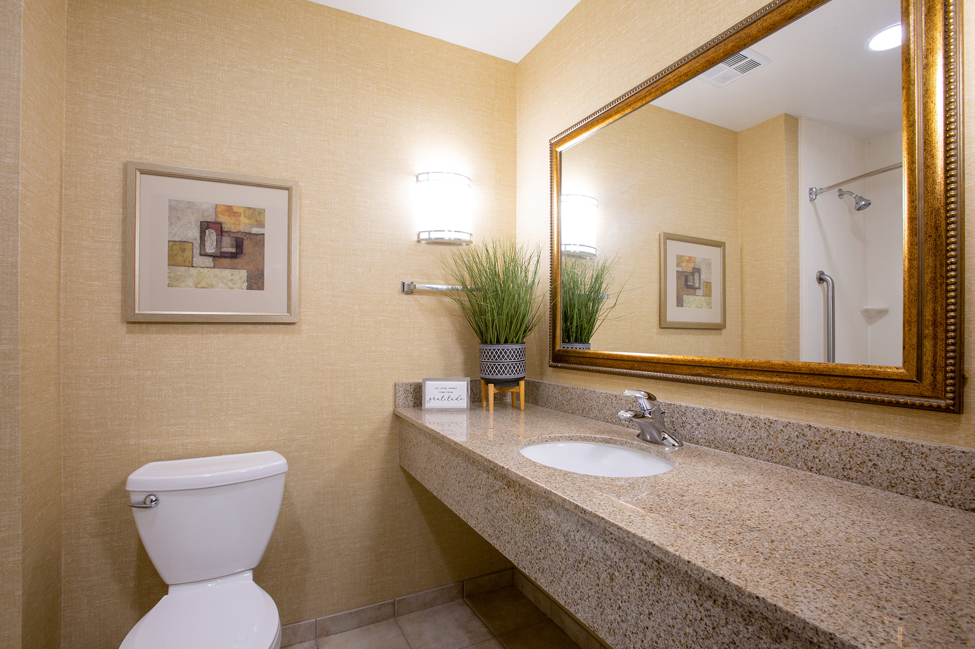 A modern bathroom featuring a toilet, a granite countertop with a sink, and a large mirror. The walls are adorned with a light beige texture and framed artwork, while decorative plants add a touch of greenery. The space is well-lit with wall sconces, and there is a shower in the background.