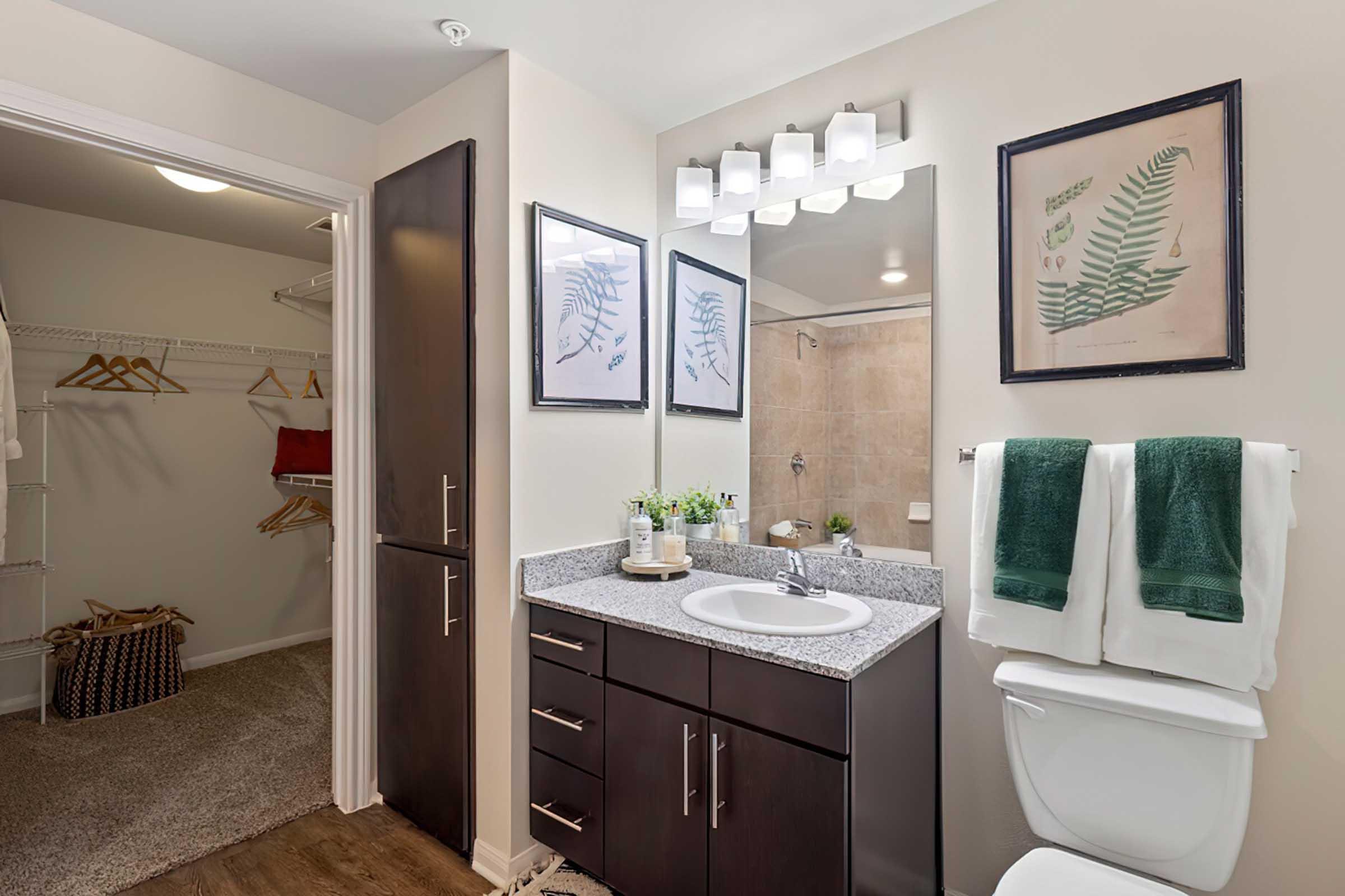 A modern bathroom featuring a granite countertop with a sink and stylish storage cabinets. There are framed botanical prints on the walls, neatly hung towels, and a walk-in closet visible. The shower area is partially visible, enhancing the contemporary design of the space.