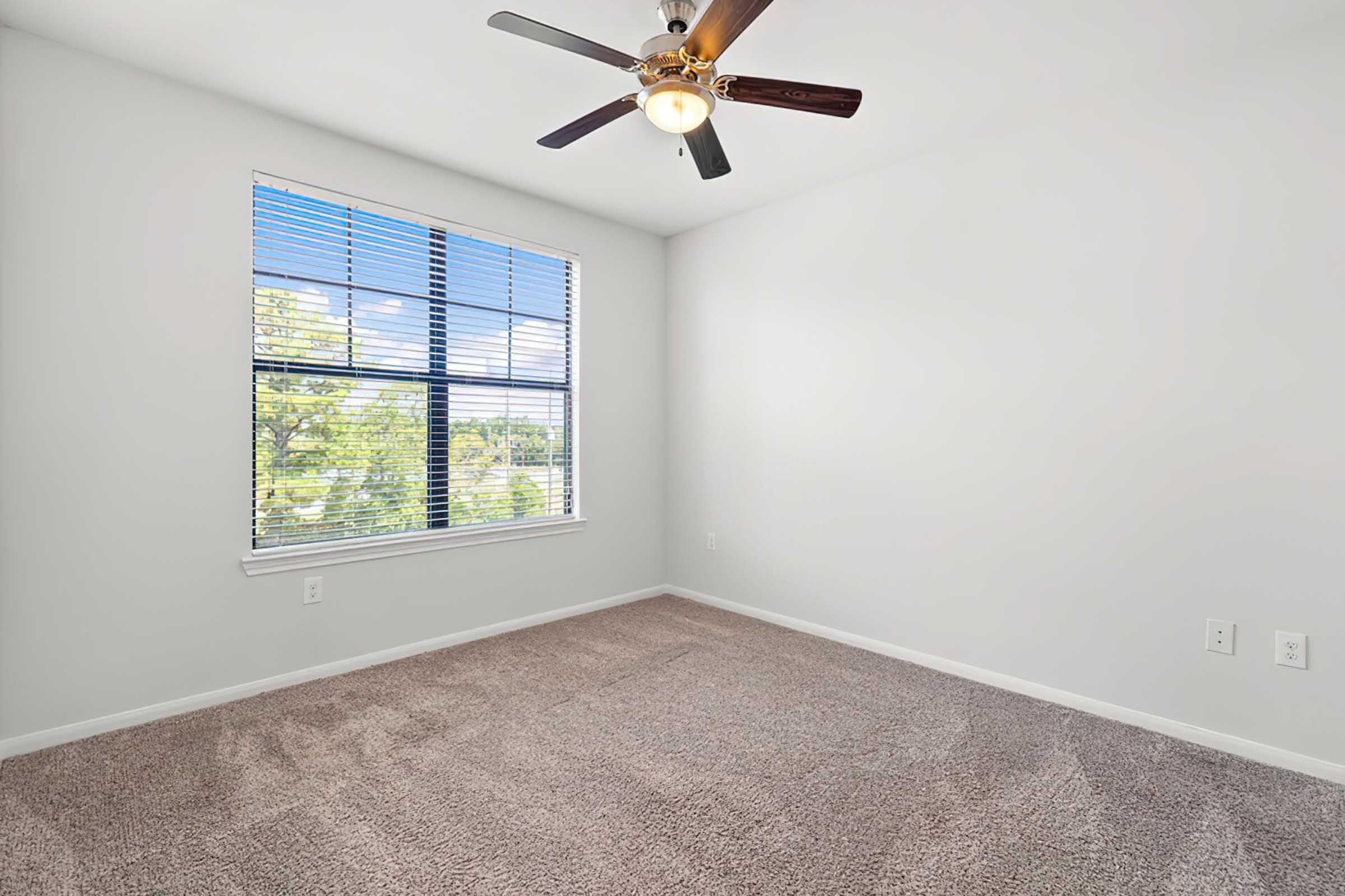 A minimalist, empty room with light gray walls and plush beige carpeting. A ceiling fan with wooden blades is mounted above. A large window with white blinds allows natural light to fill the space, showcasing a view of greenery outside. The room appears bright and inviting, ideal for various purposes.