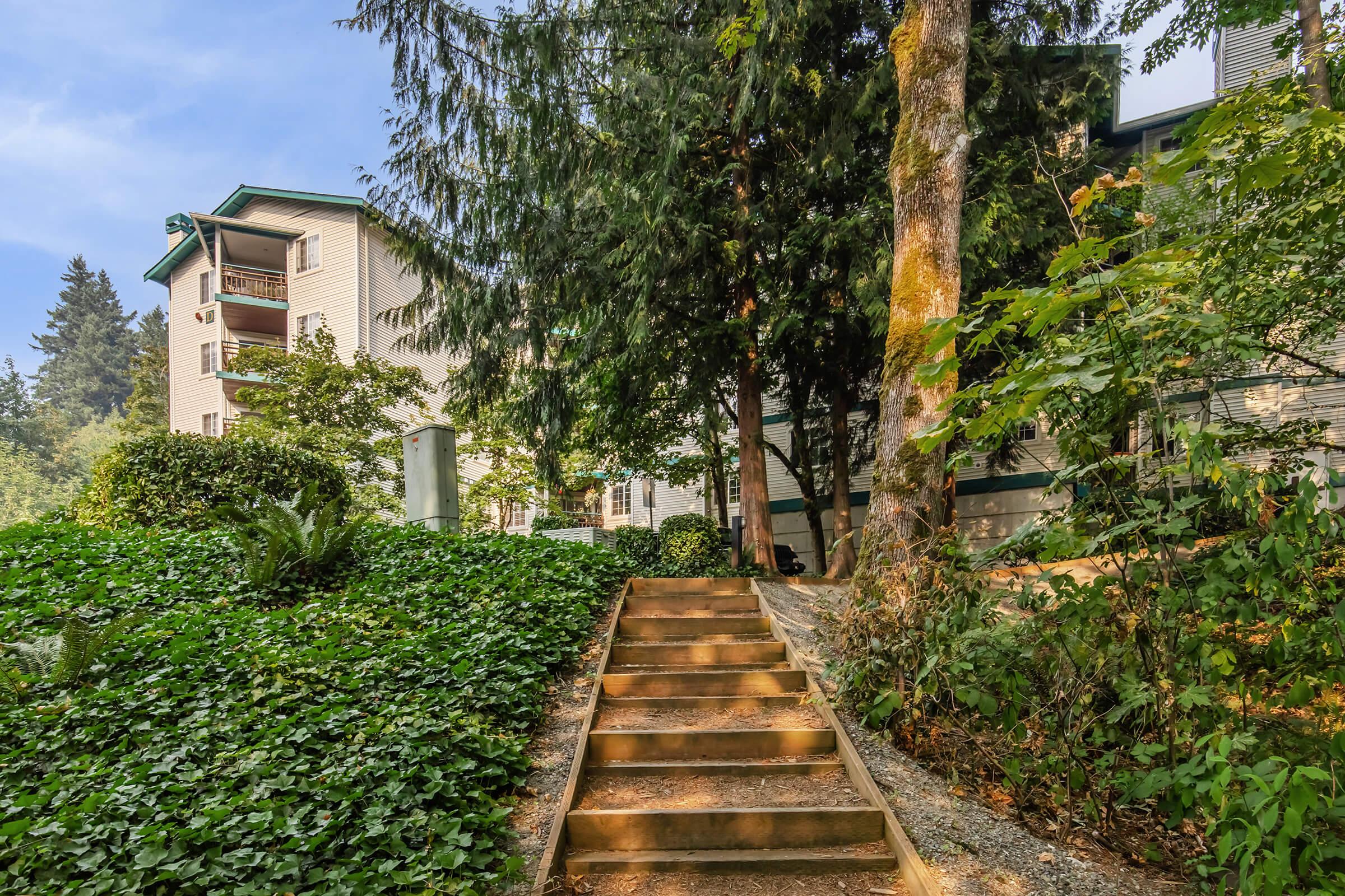 A pathway with wooden steps leads through lush greenery toward a multi-story building surrounded by trees. Ivy covers the ground, and the scene is set in a peaceful, natural environment.