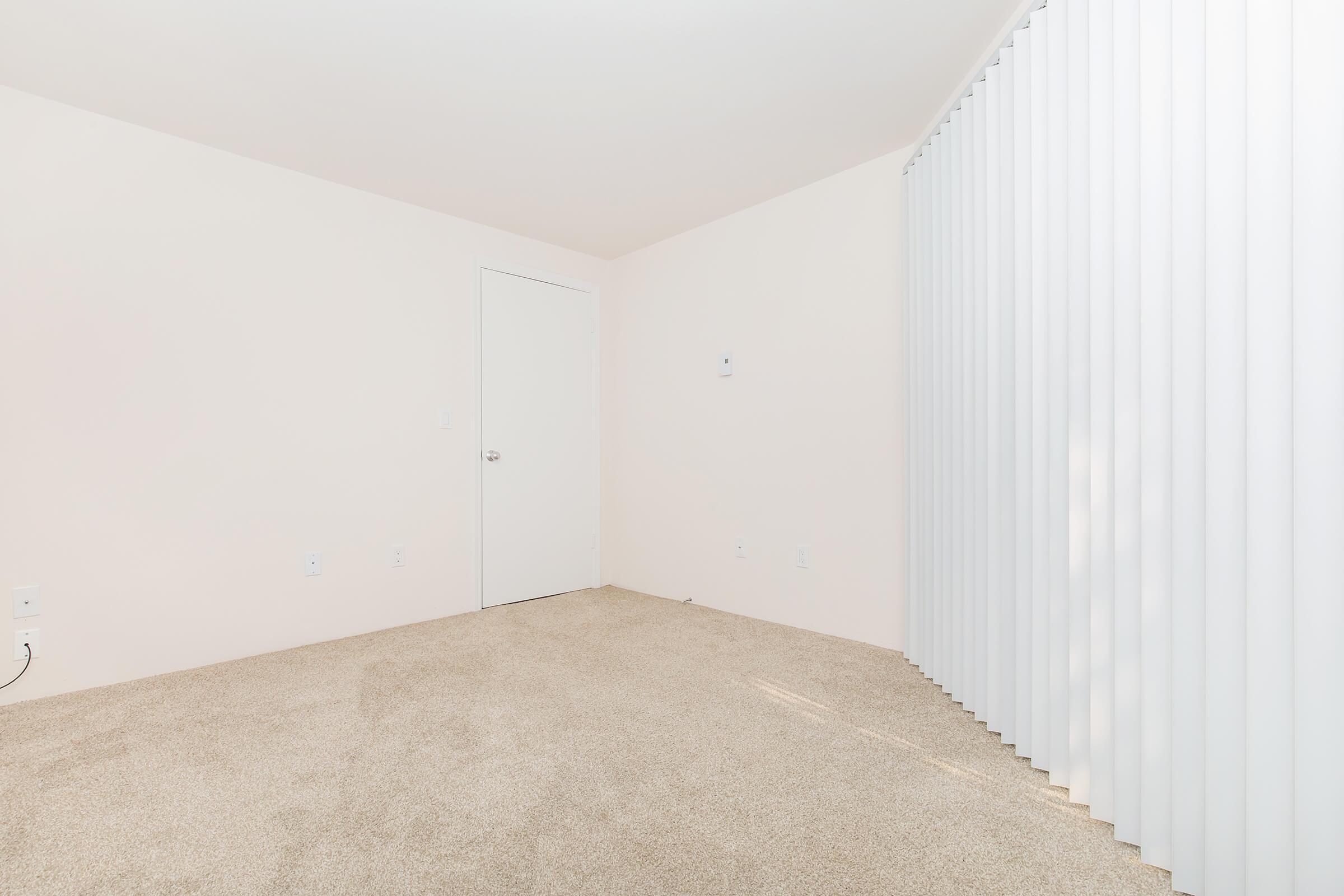 Empty room with light-colored walls and plush, beige carpet. There is a closed white door on the left and vertical white blinds on the right, allowing soft light to filter in. The space appears clean and minimalistic, perfect for various uses or decoration.