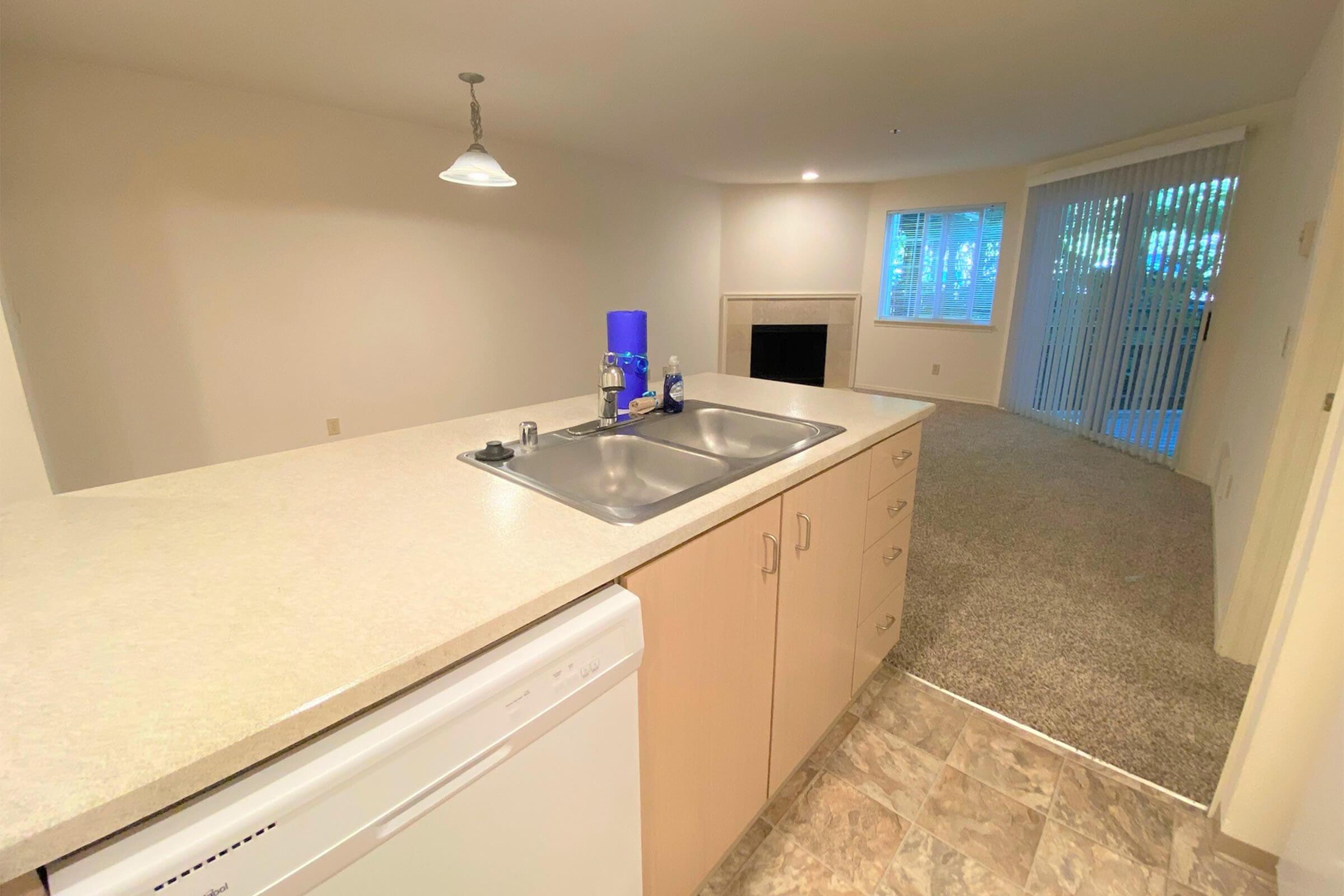 Interior view of a kitchen area featuring a sink and dishwasher on a countertop. In the background, there is a carpeted living room with a fireplace and glass sliding doors leading to an outdoor area. The space is well-lit, giving a cozy and open feel.