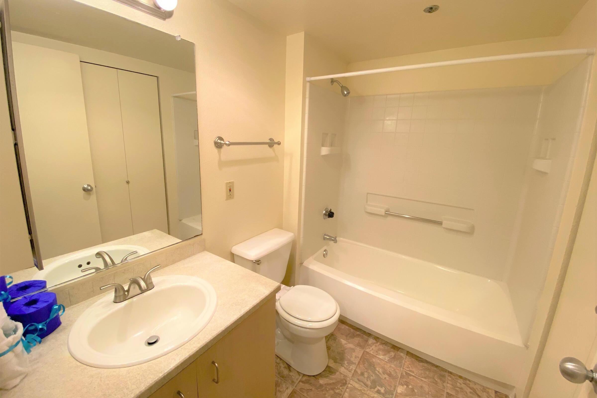 A modern bathroom featuring a bathtub with a shower, a toilet, and a sink with a countertop. The walls are painted in a light color, and there is a large mirror above the sink. The floor is tiled, and there are a few toiletries on the counter.