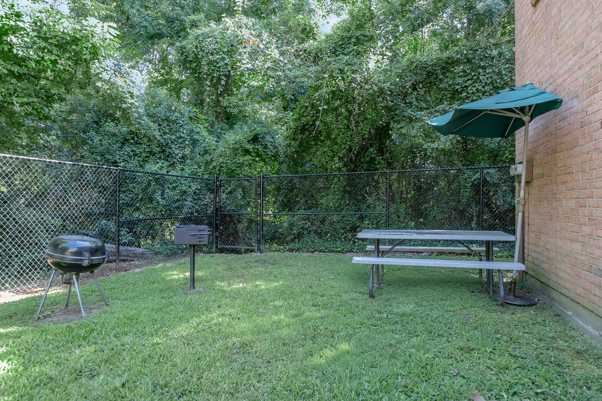 Outdoor picnic area featuring a grassy space with a picnic table, a charcoal grill, and a shaded umbrella. The surroundings are enclosed by a fence and lush greenery, providing a private and relaxing atmosphere.