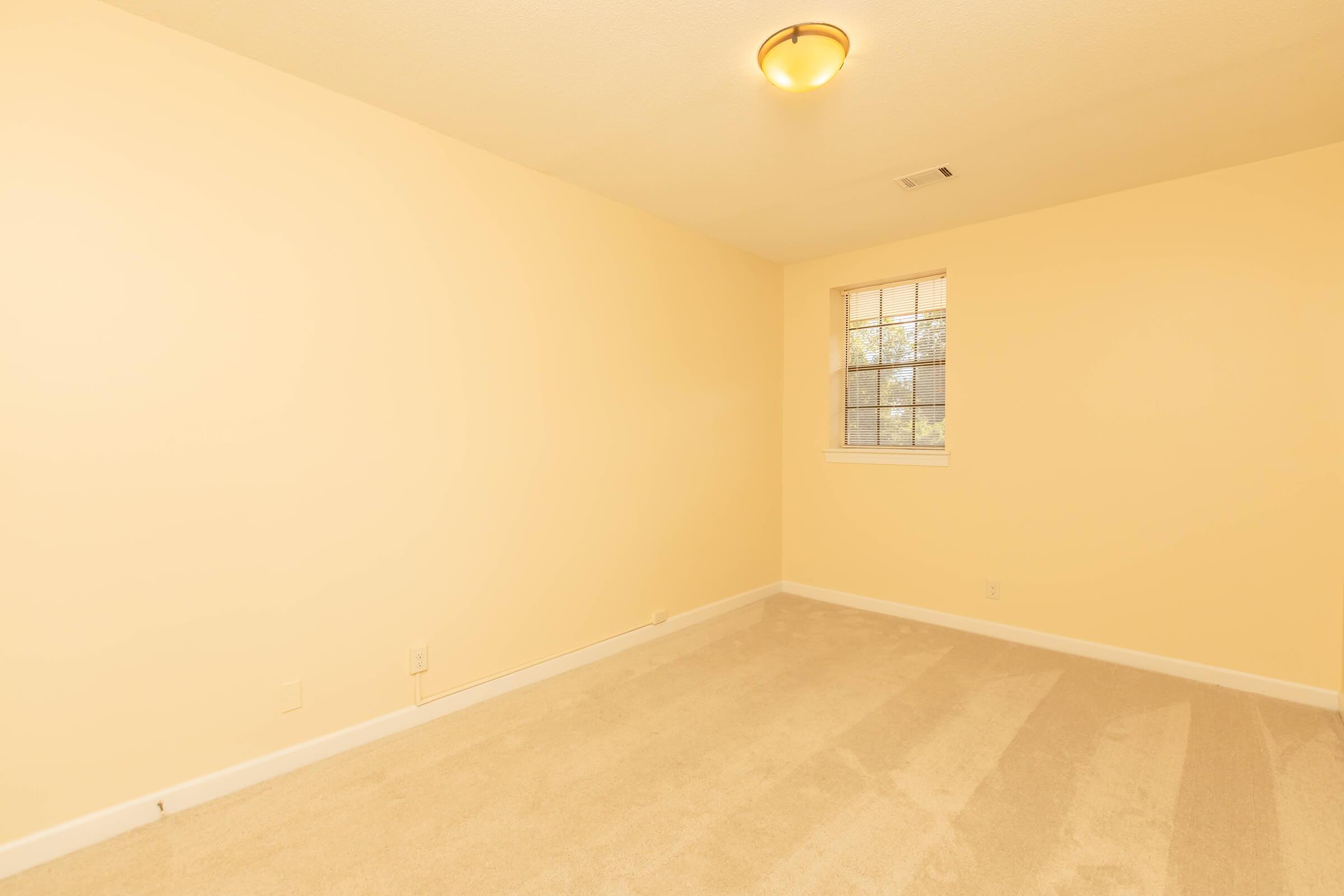 Empty room with light yellow walls and beige carpet. A single window with a grid design allows natural light, and a ceiling light fixture provides additional illumination. The space is clean and unfurnished, creating a blank canvas for potential decoration.